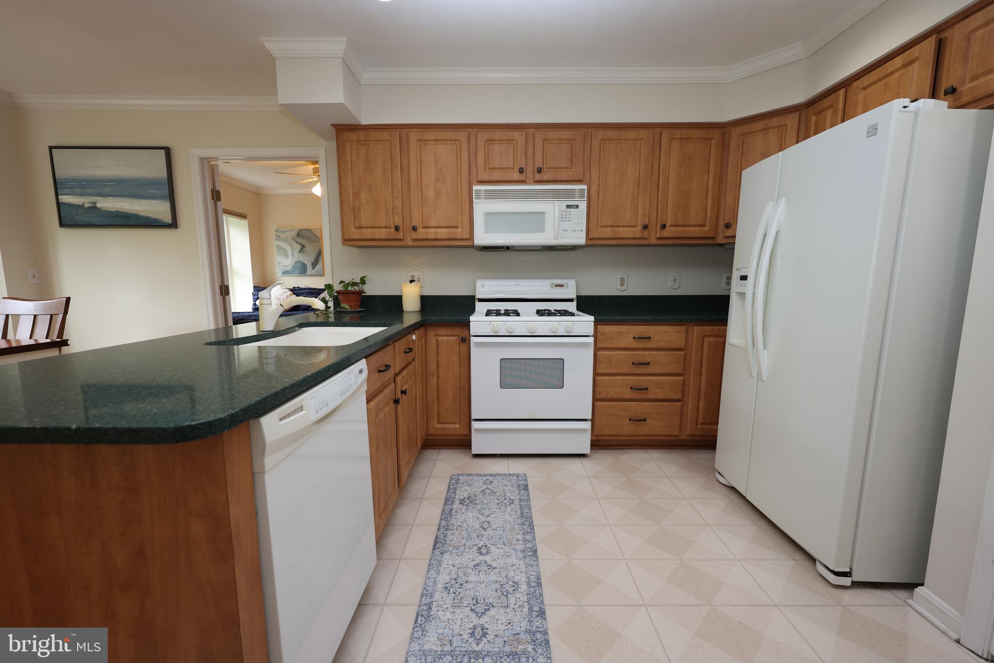 LIMERICK - Residential