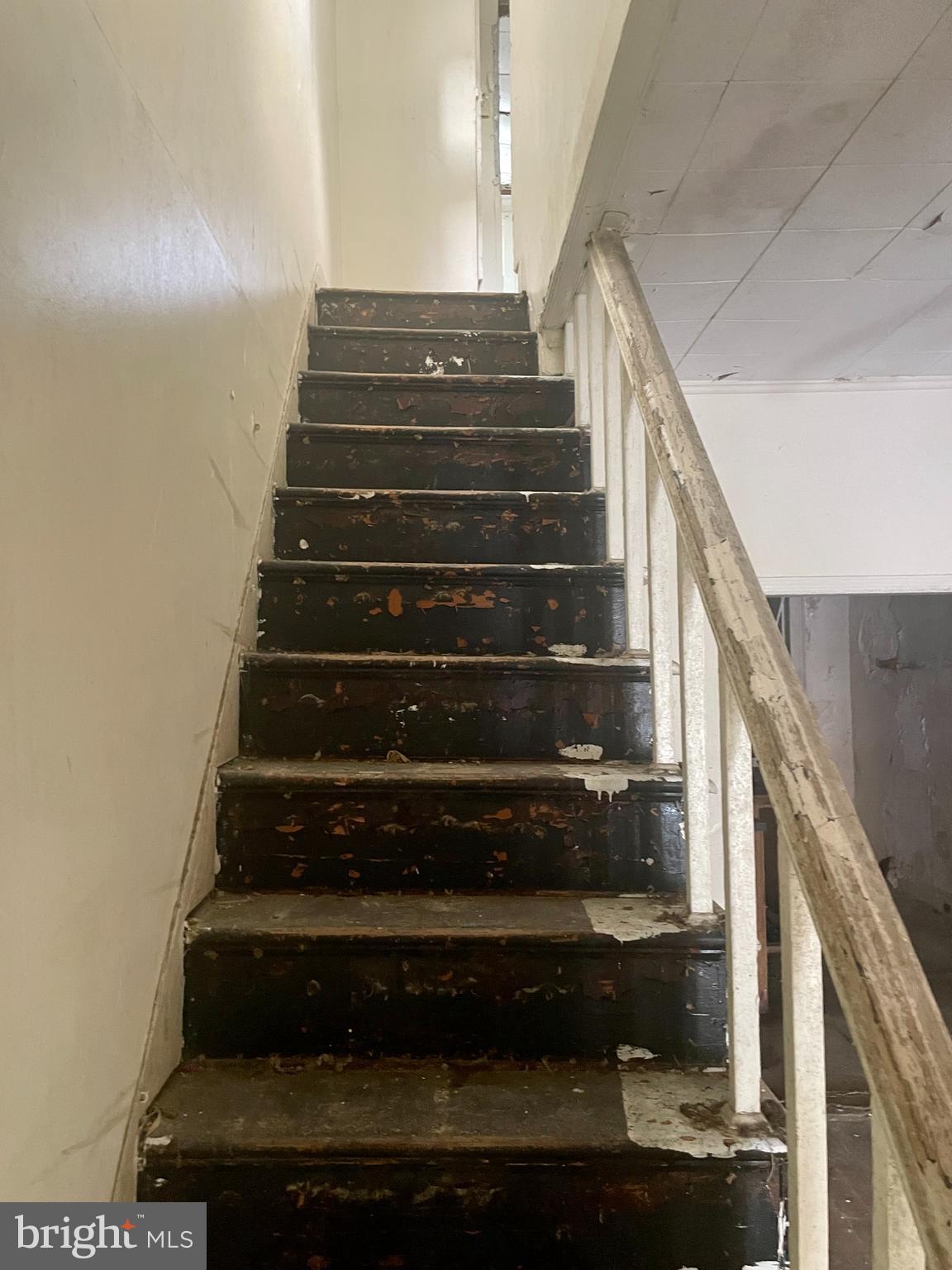 PENROSE - Residential