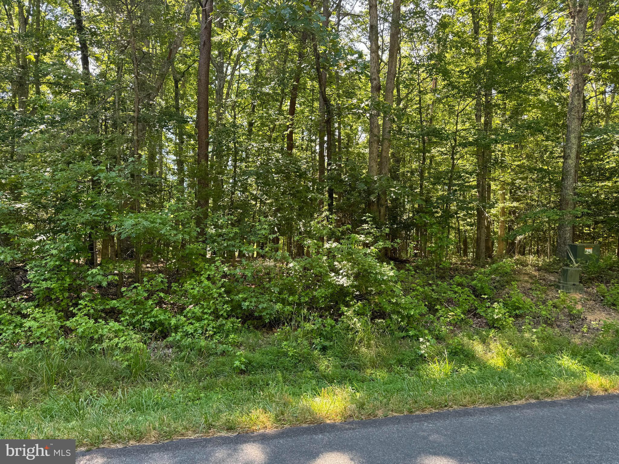 LOT 15 MOODY TOWN ROAD