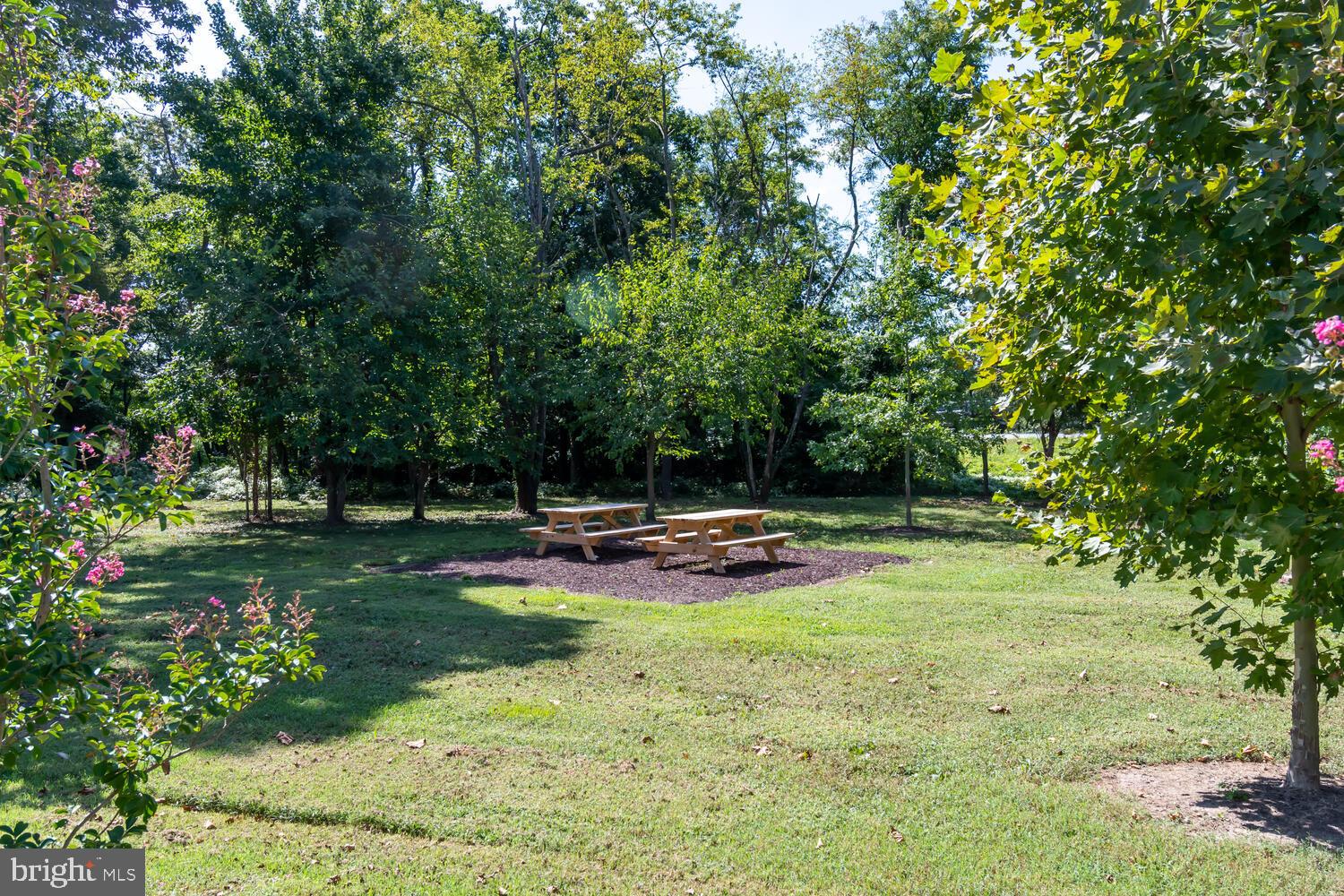 PATRIOT SQUARE - Residential