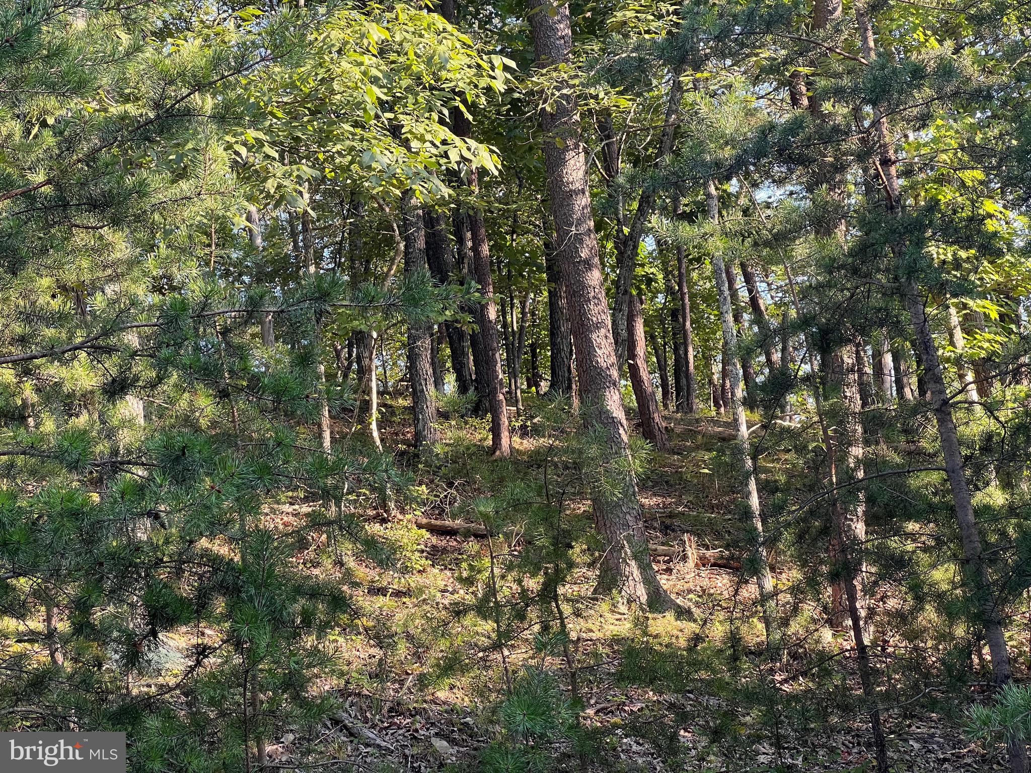 POTOMAC OVERLOOK SUBDIVISION - Residential