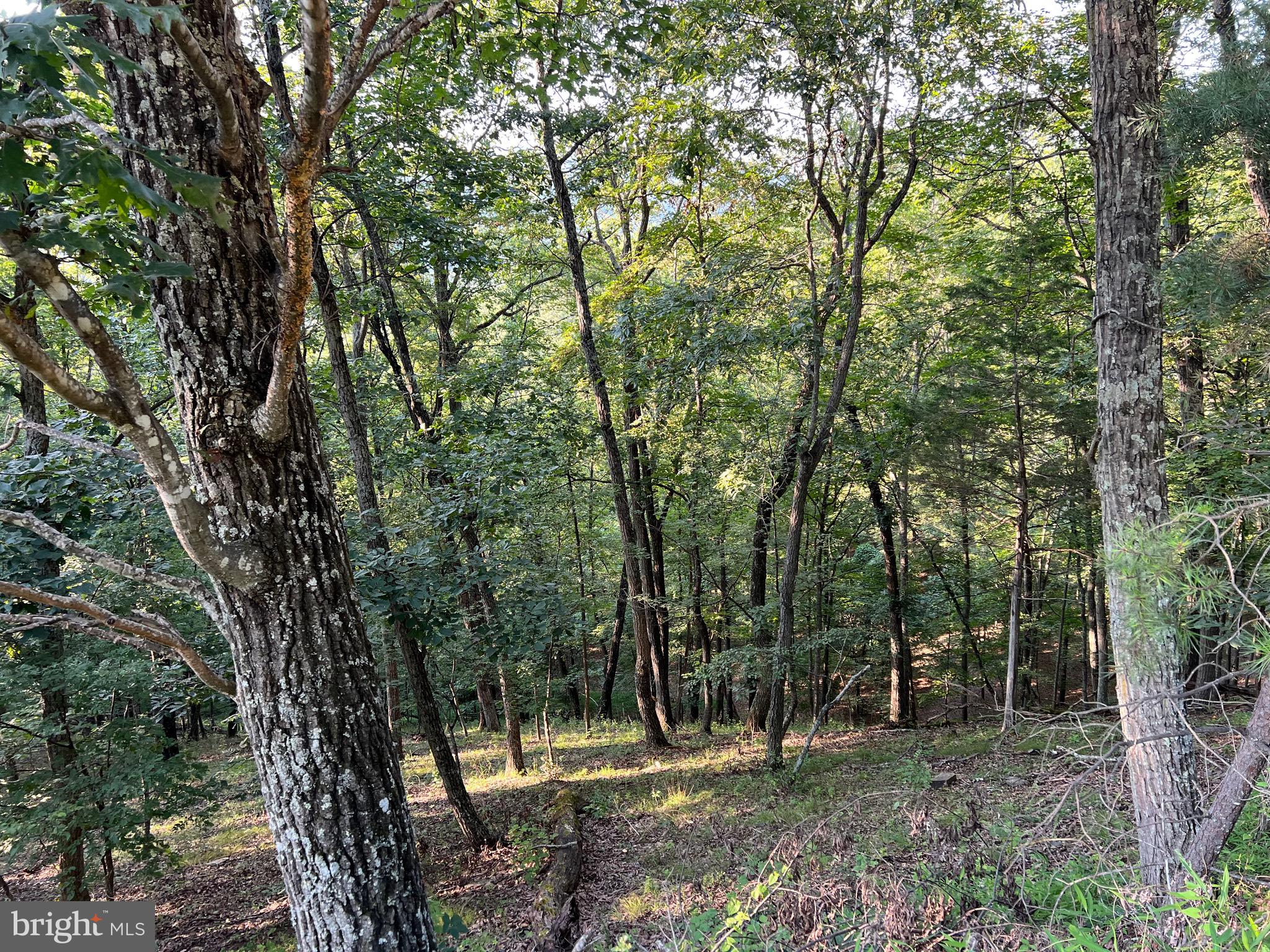 POTOMAC OVERLOOK SUBDIVISION - Residential