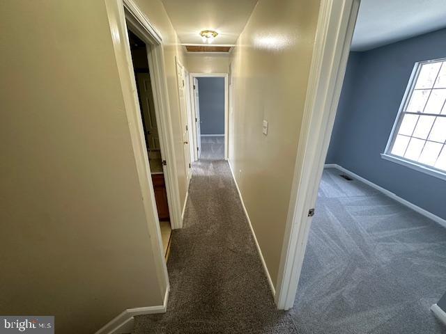 ASHFORD OAKS - Residential