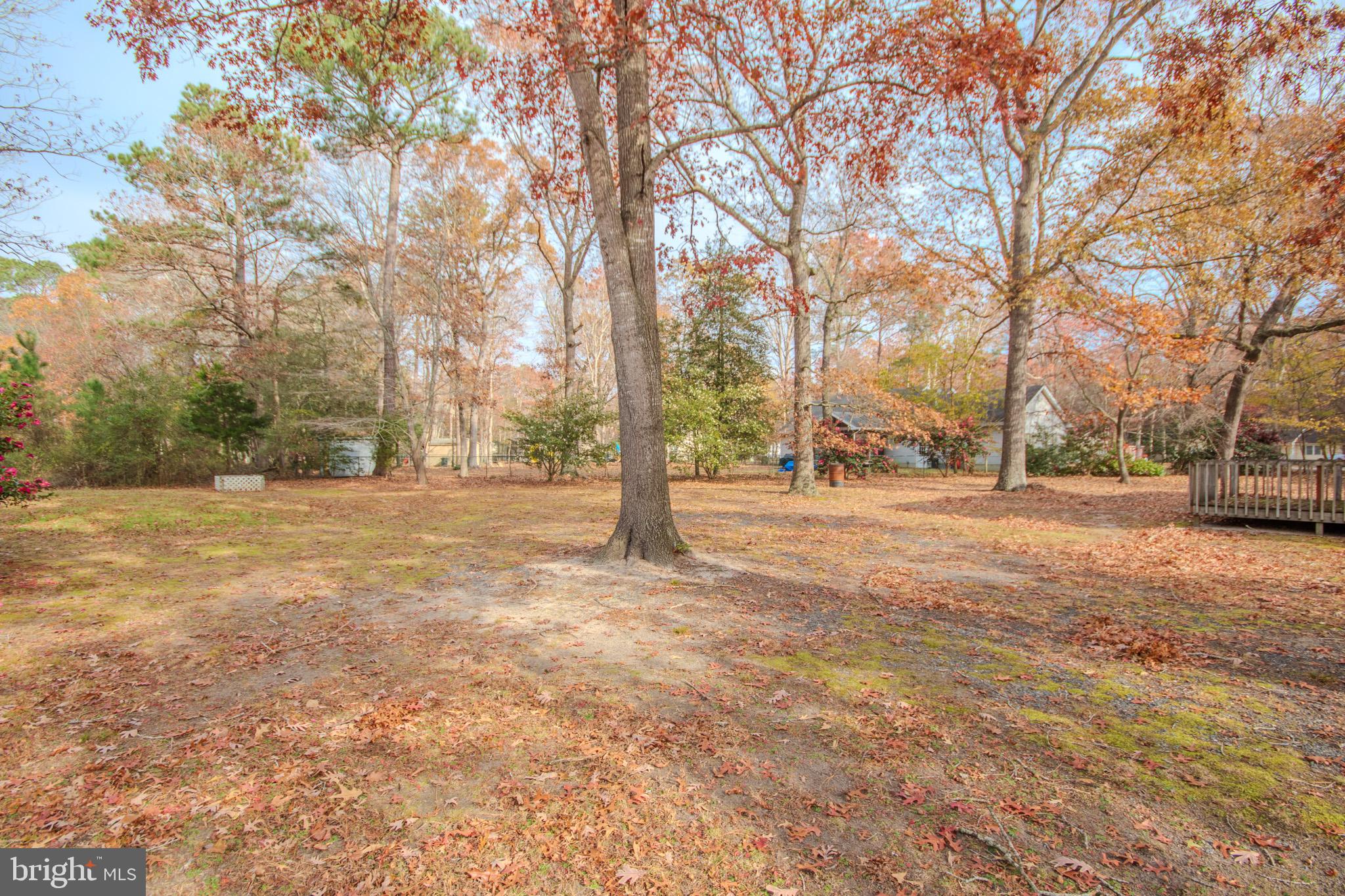 CANTERBURY - Residential