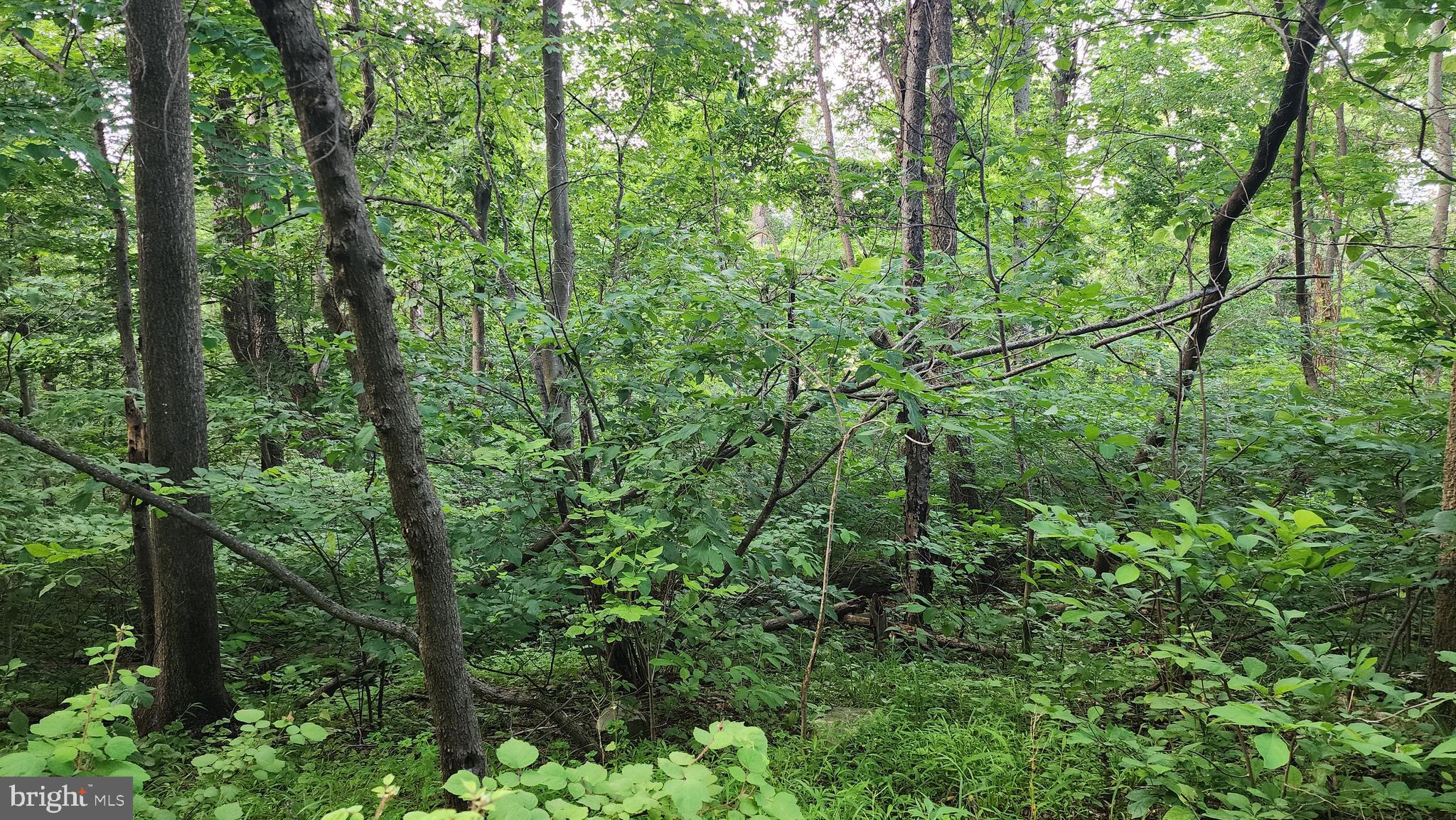 50 OAK RIDGE TRAIL