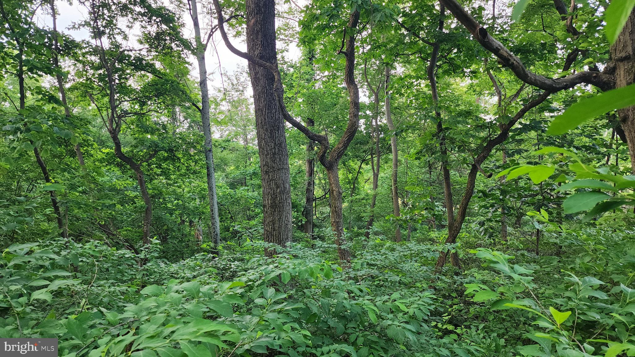 50 OAK RIDGE TRAIL