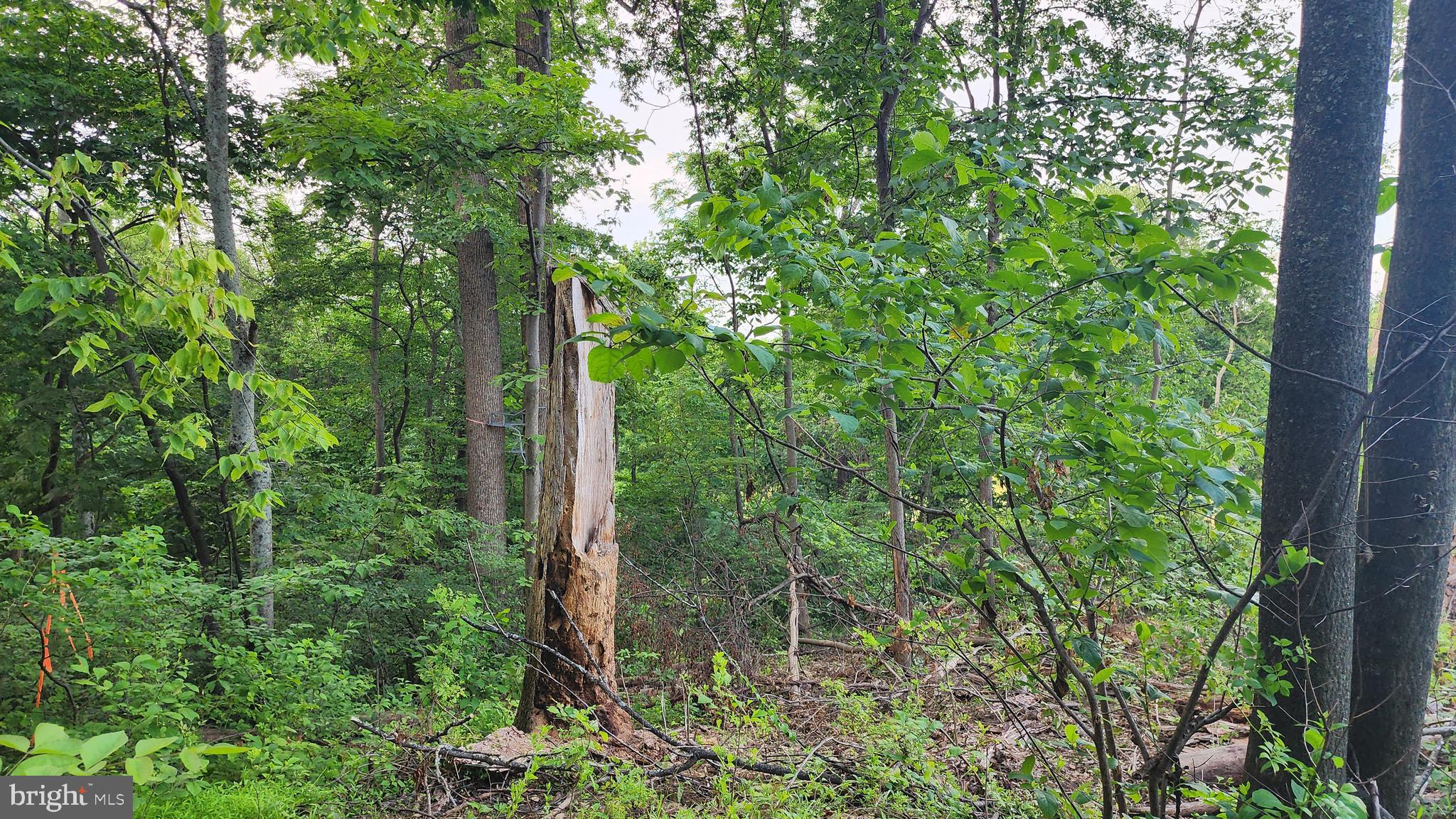 50 OAK RIDGE TRAIL