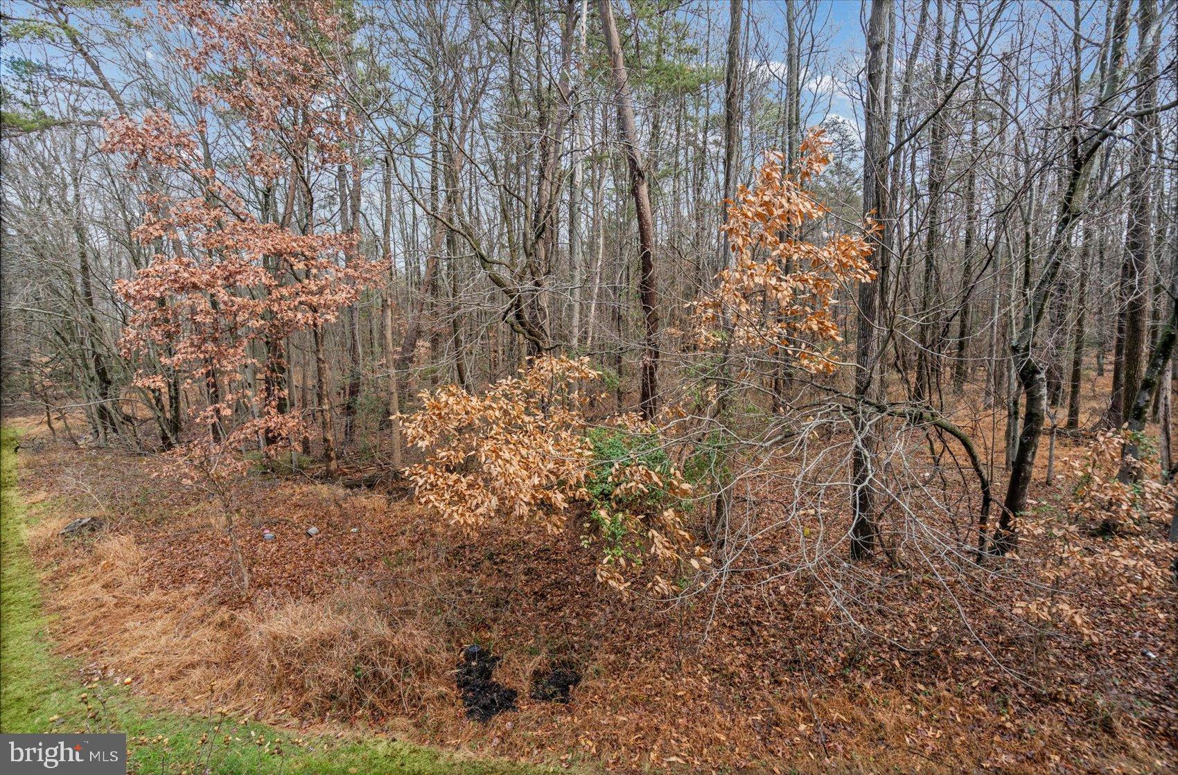 MONTPELIER HILLS- PLAT 5 - Residential