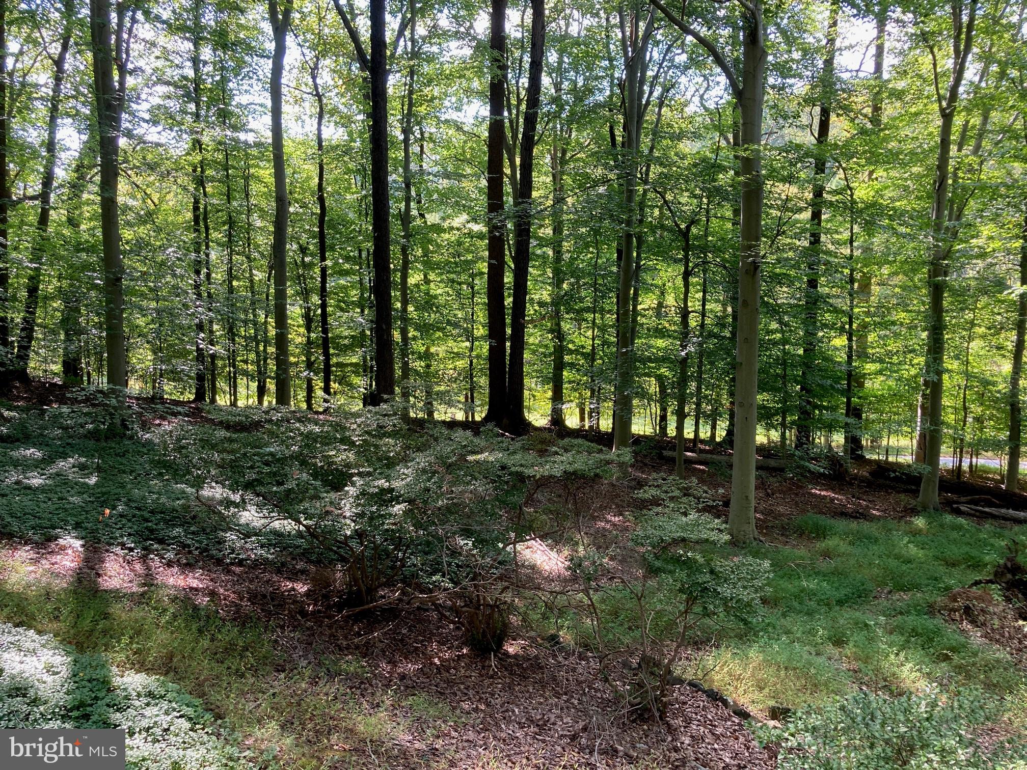 4921 BONNIE BRANCH ROAD