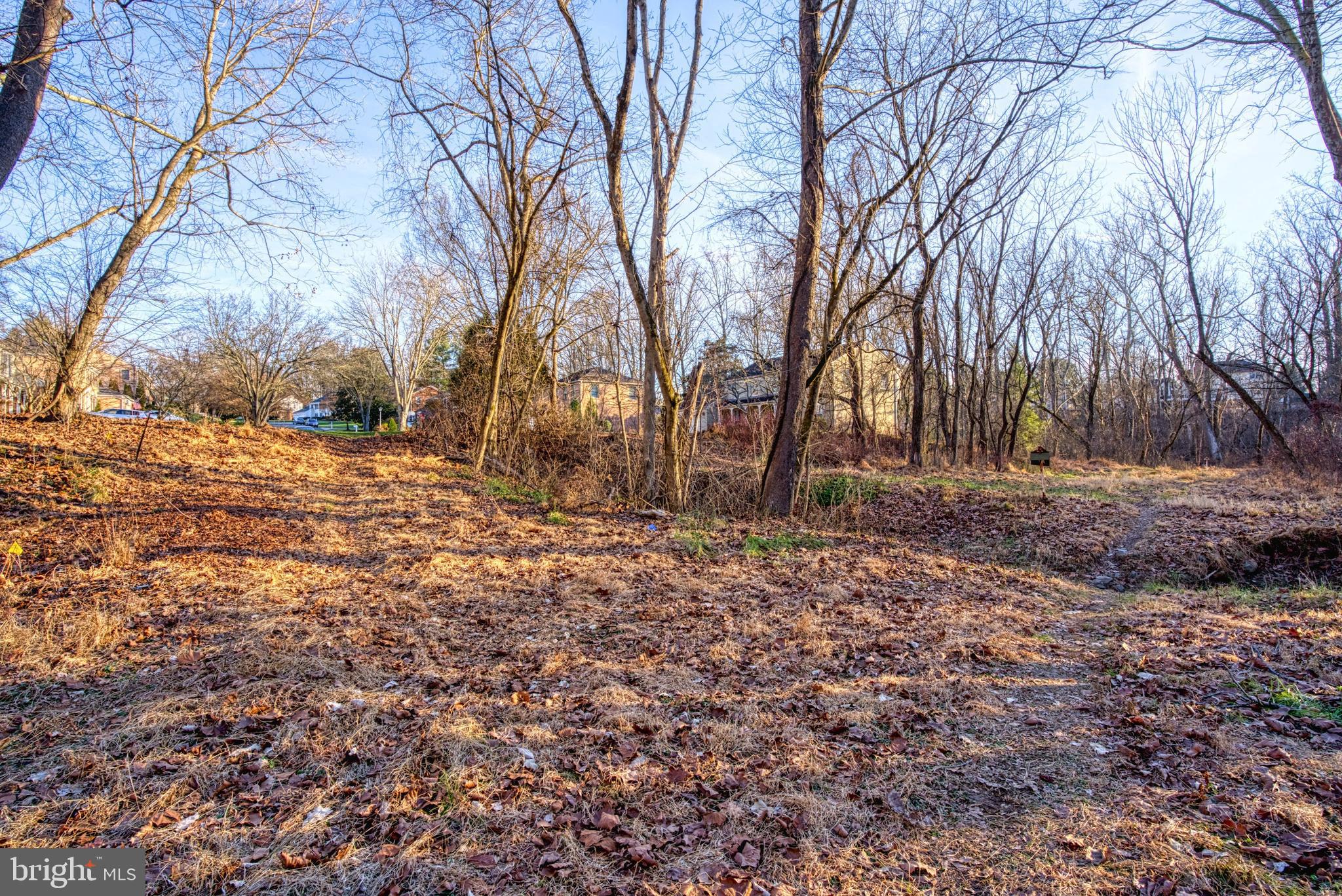 POTOMAC COMMONS - Residential