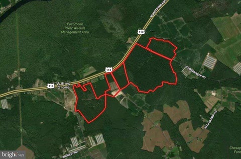 Vacant Land For Sale - Johnson Neck<br/> Worcester County, POCOMOKE CITY, MD 21851
