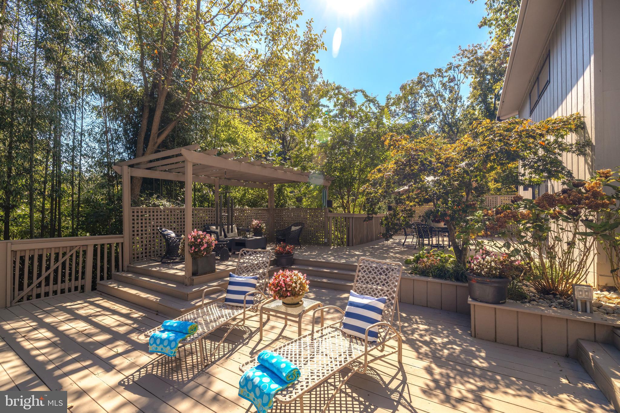 FOREST HILLS - Residential