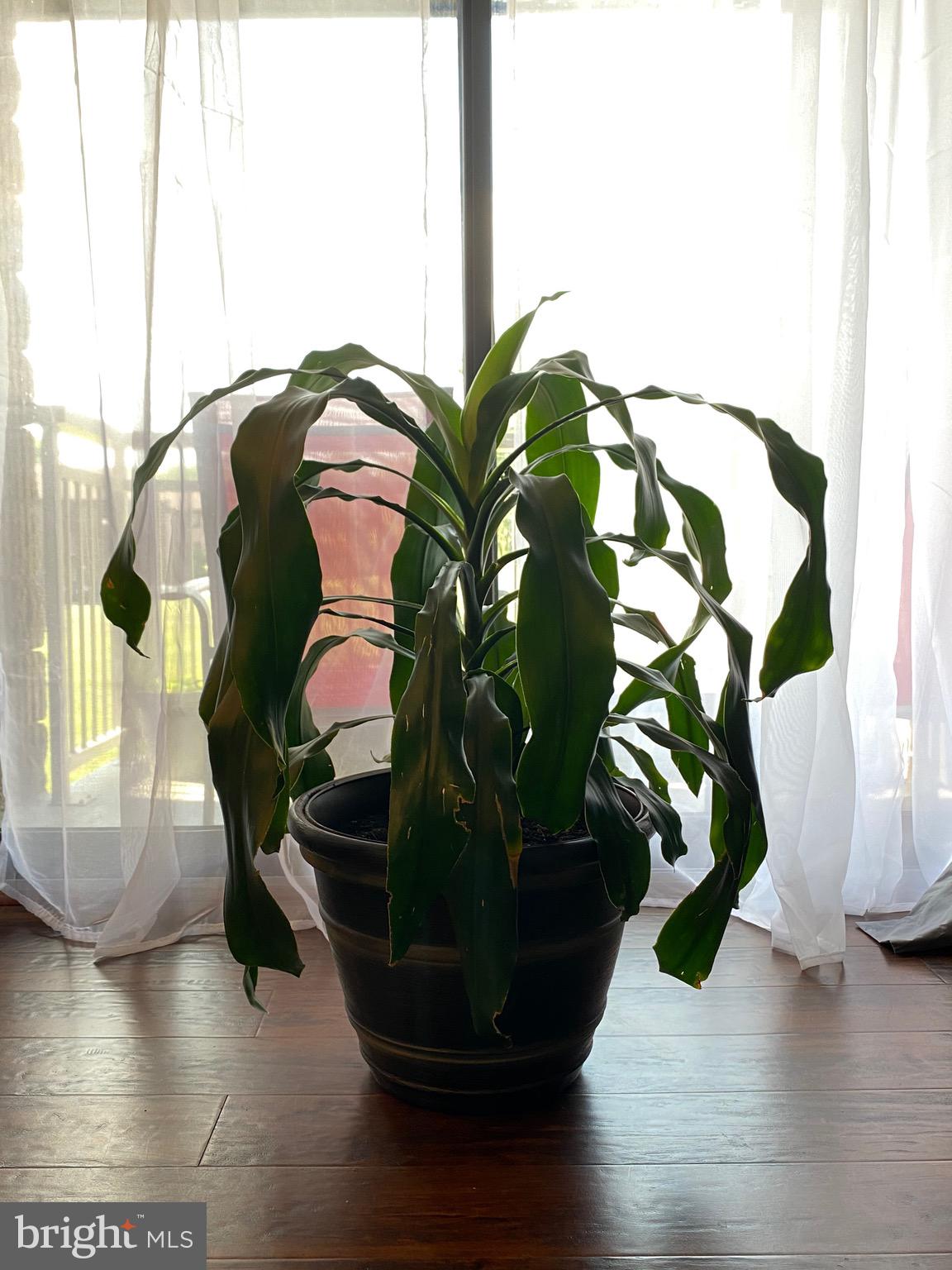 VILLAGE OF LONG REACH - Residential