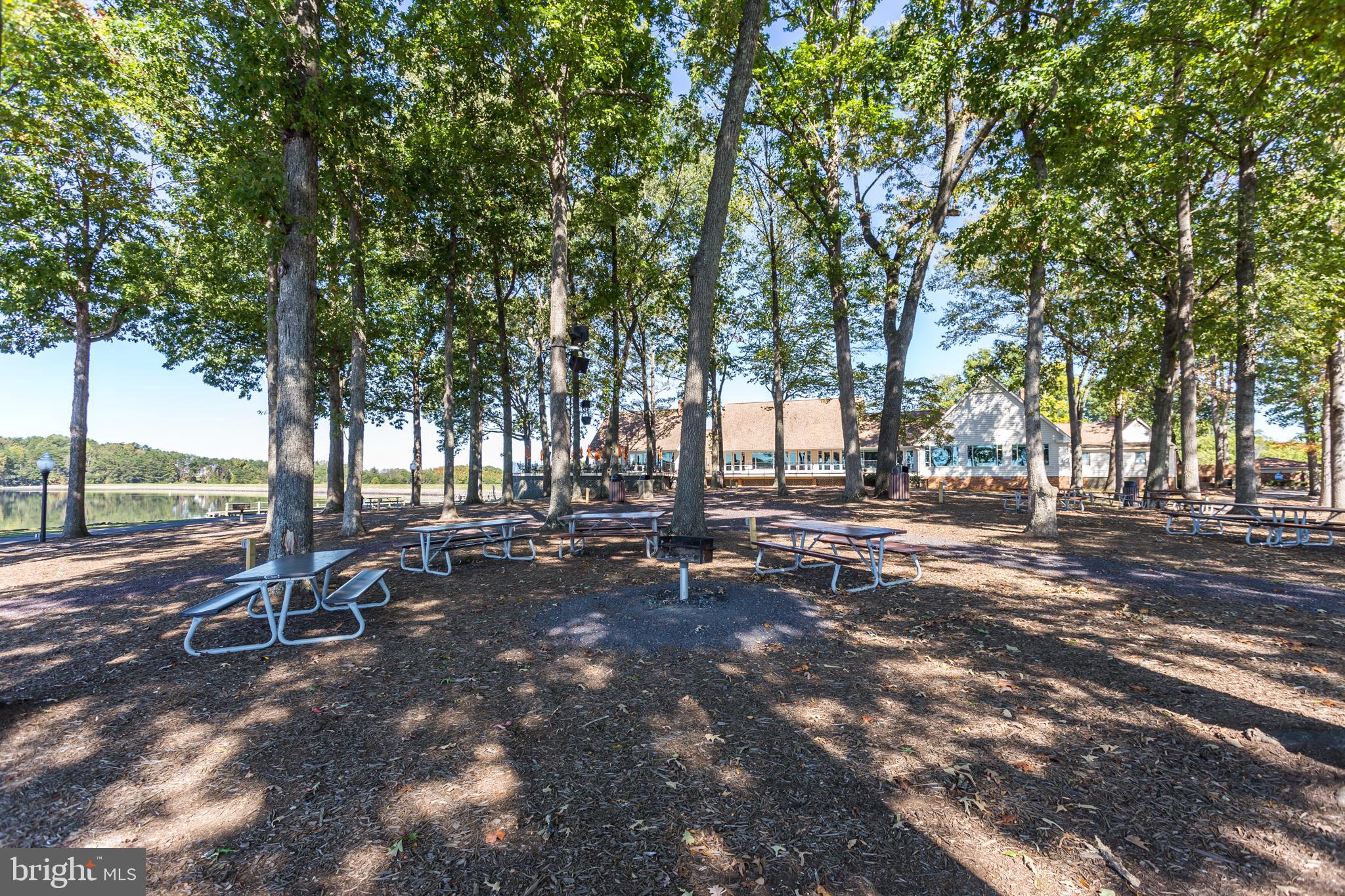 LAKE OF THE WOODS - Residential