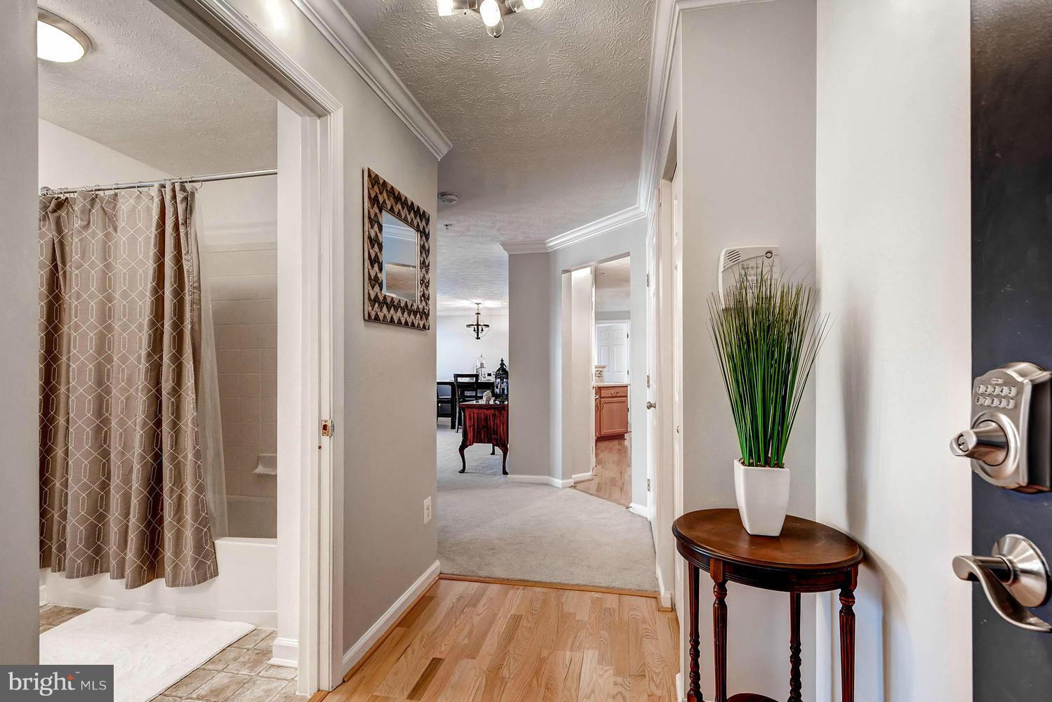 SILVER LAKE - Residential