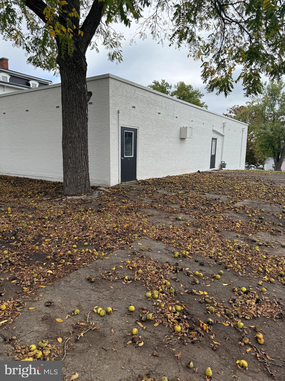 58 FROST AVENUE