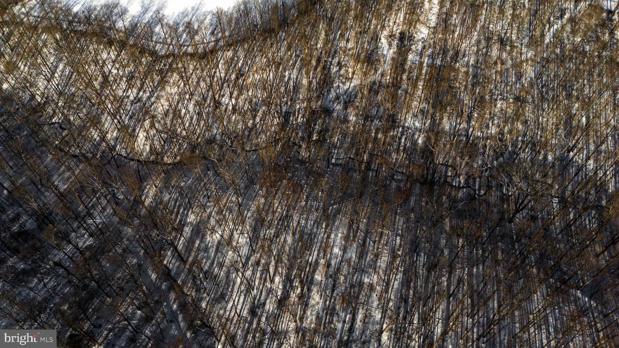 MY LADY'S MANOR - Land