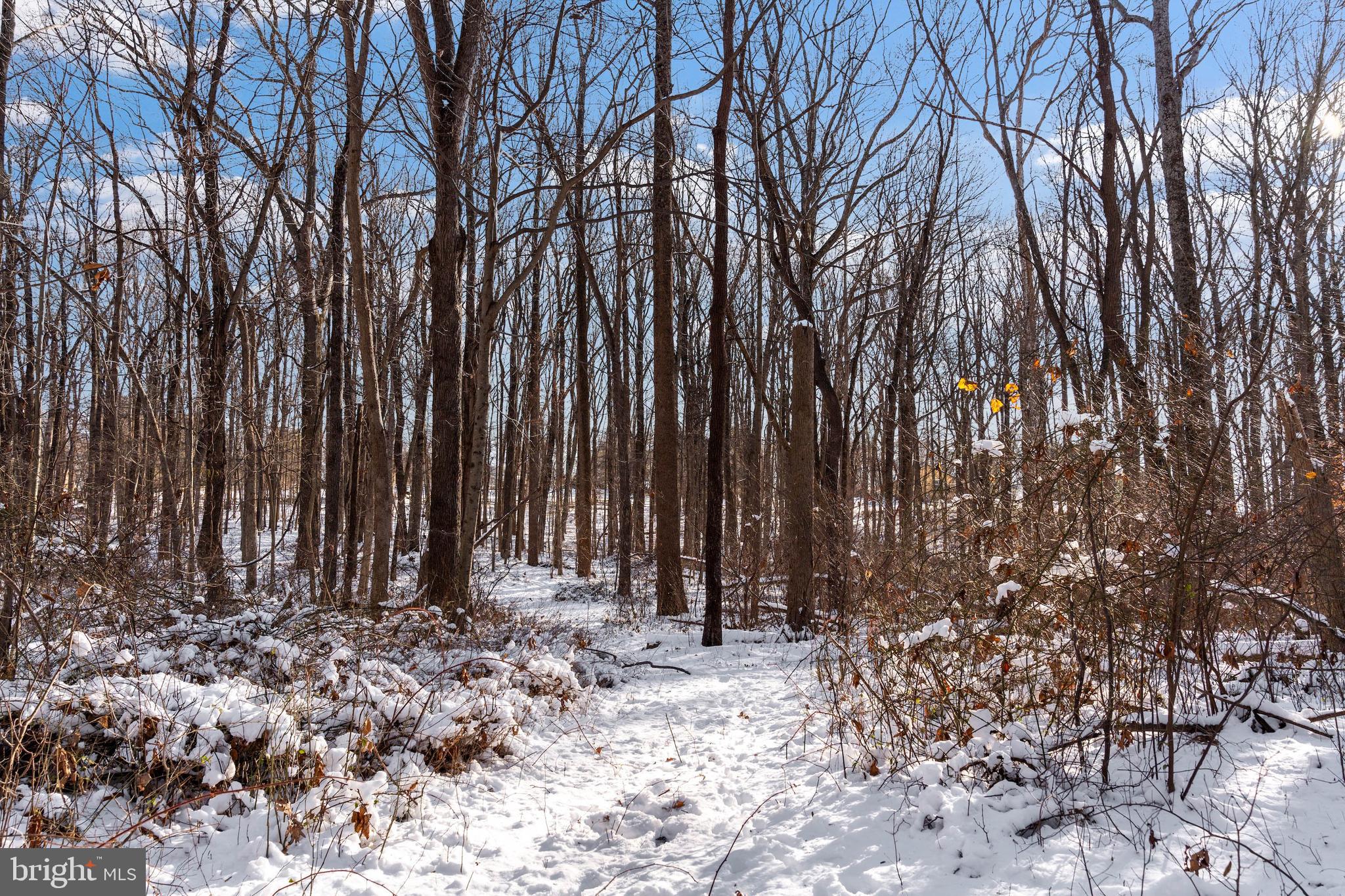 MY LADY'S MANOR - Land