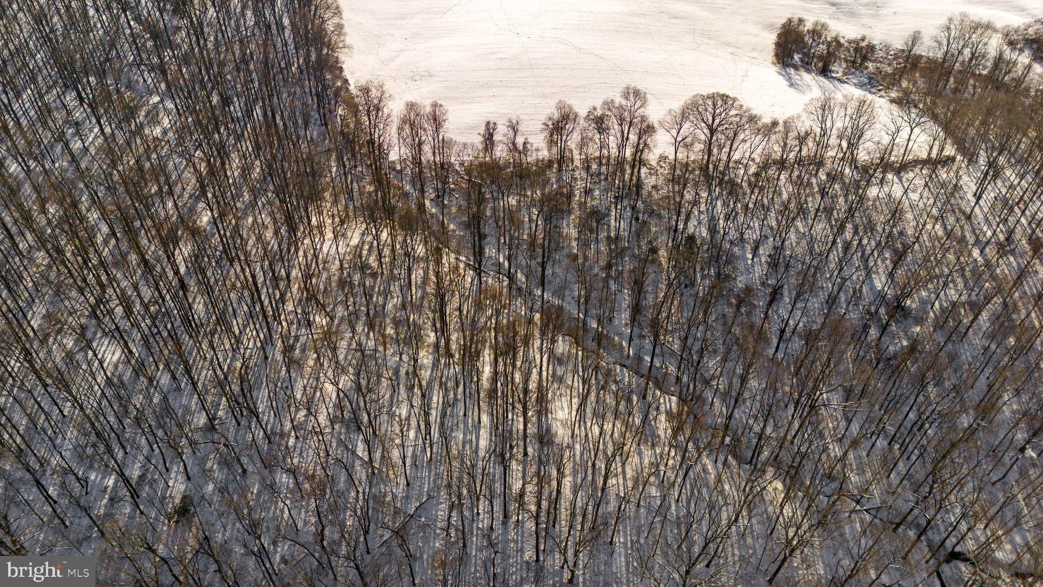 MY LADY'S MANOR - Land