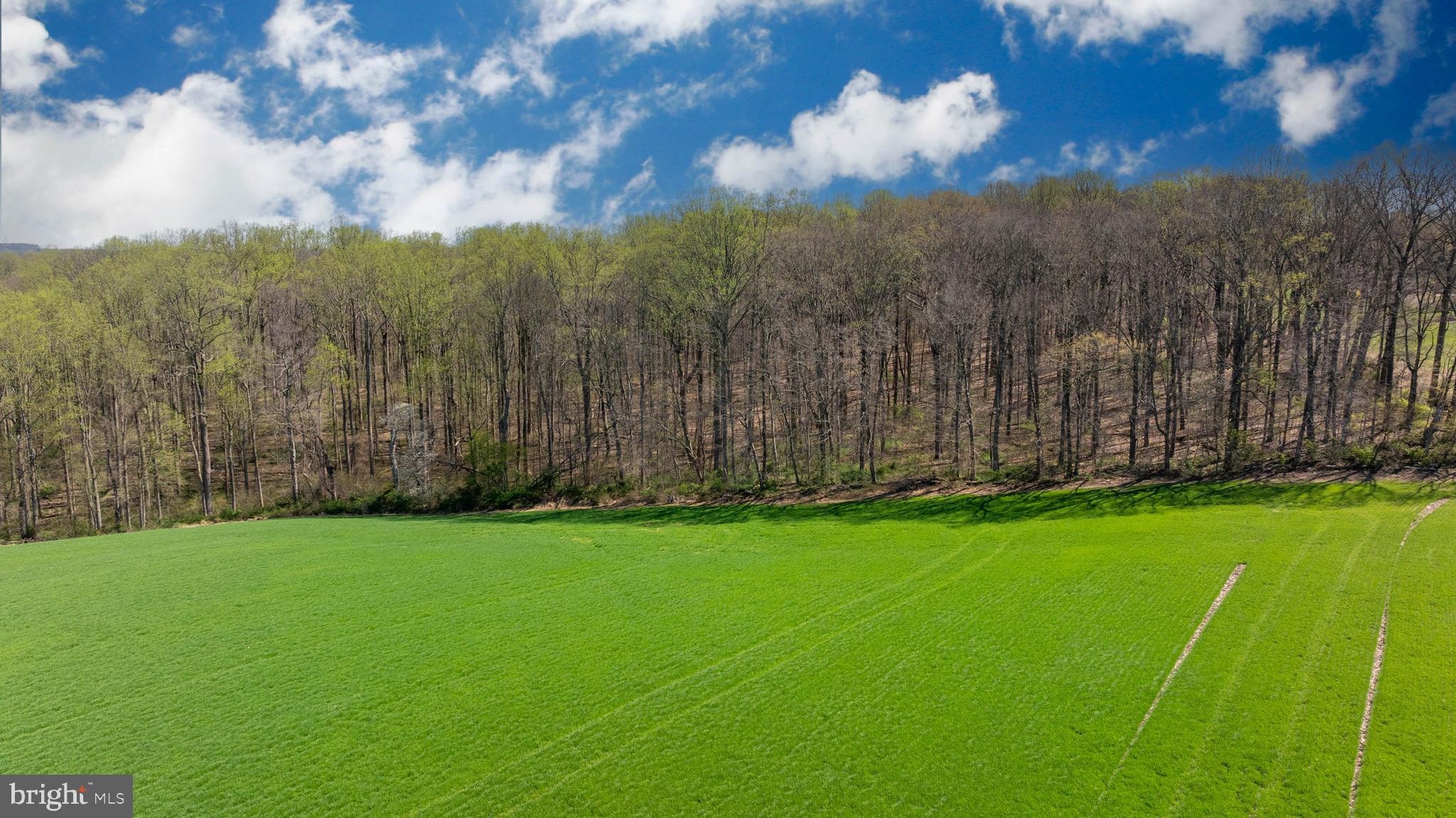 MY LADY'S MANOR - Land