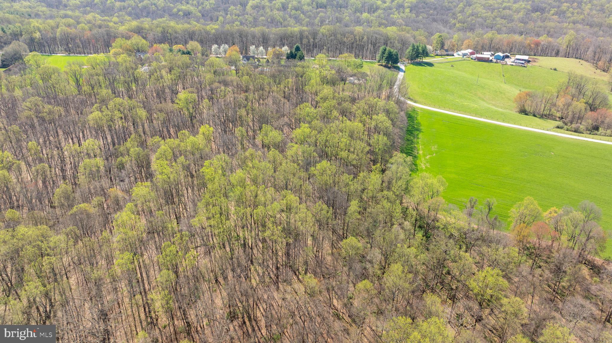 MY LADY'S MANOR - Land