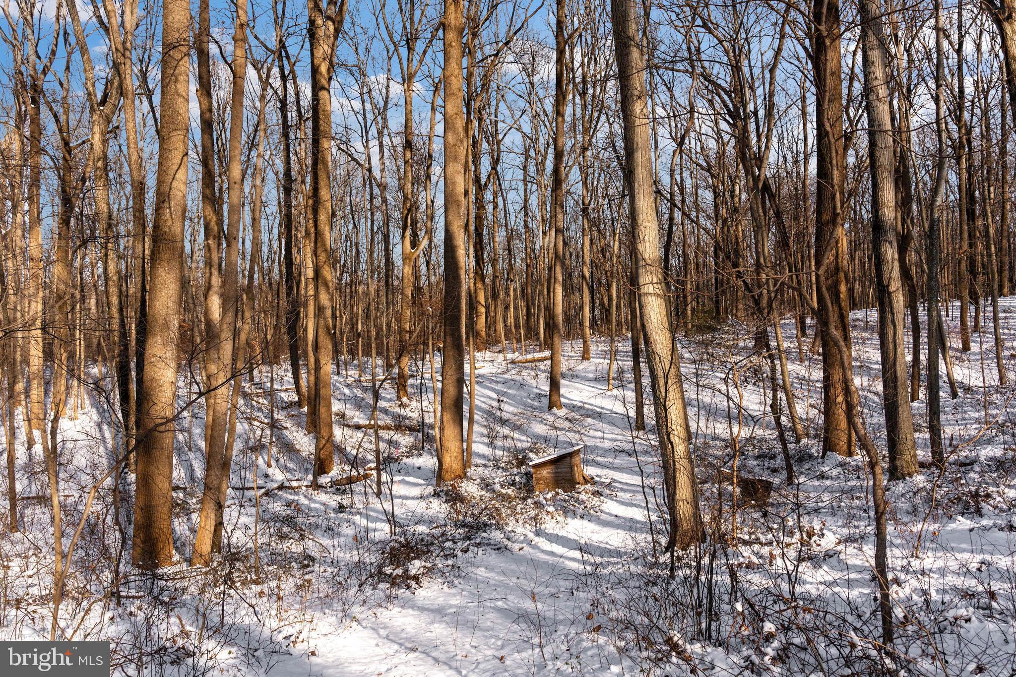 MY LADY'S MANOR - Land