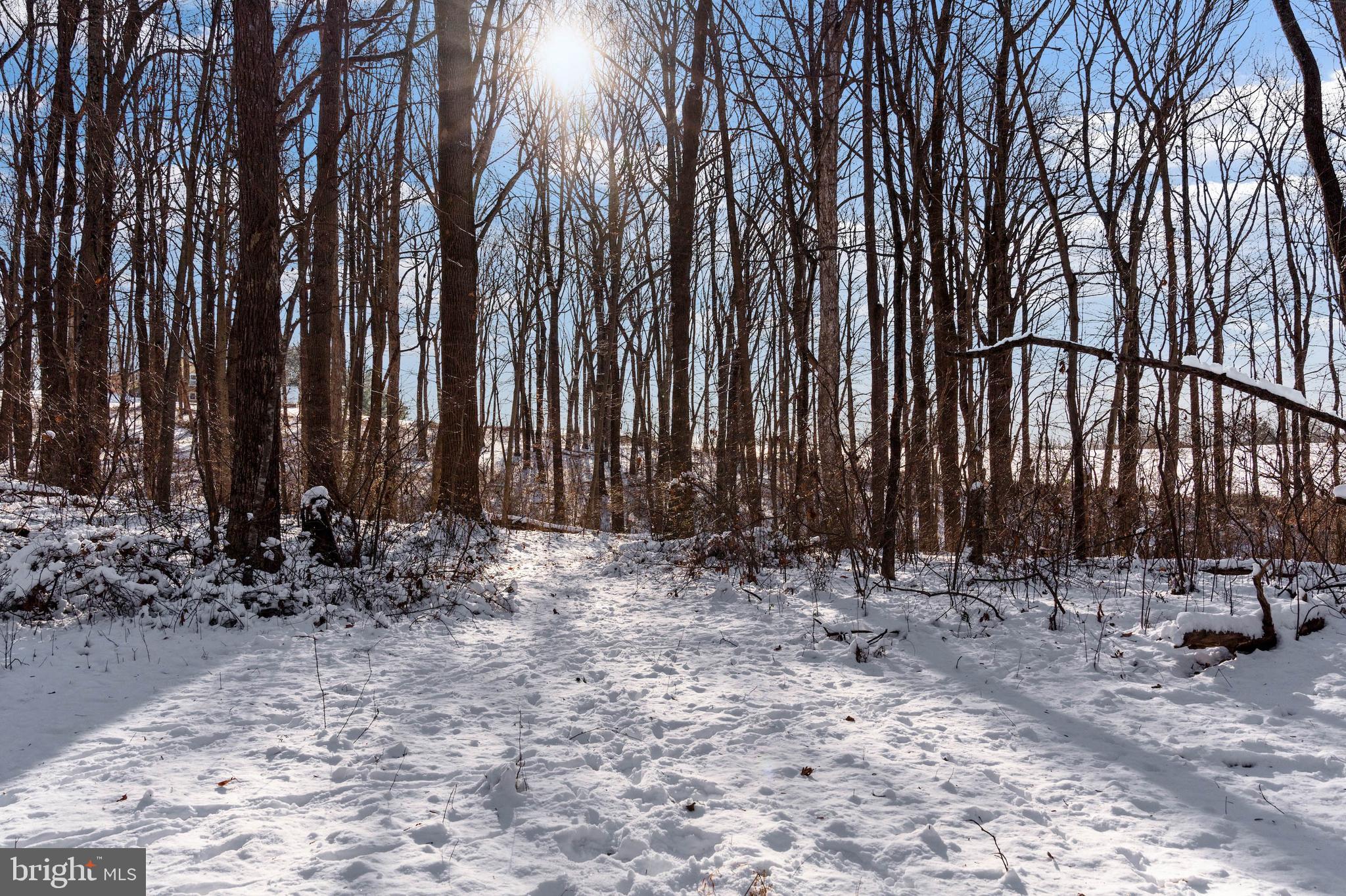 MY LADY'S MANOR - Land