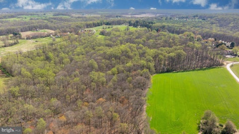 Vacant Land For Sale - Wilson Road<br/> WHITE HALL, MD 21161
