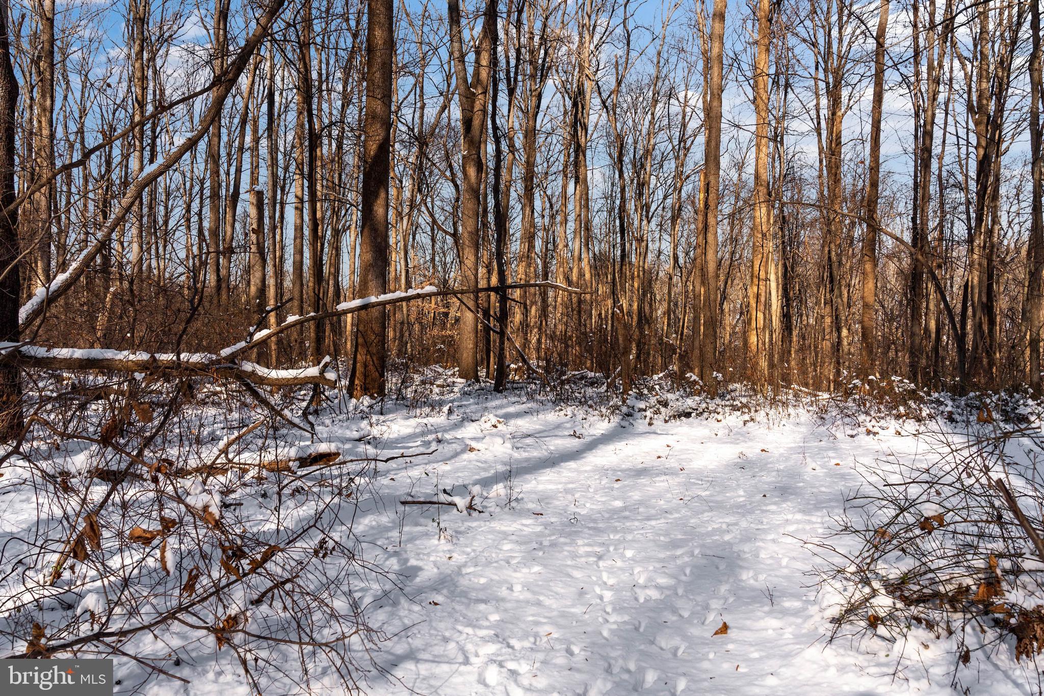 MY LADY'S MANOR - Land