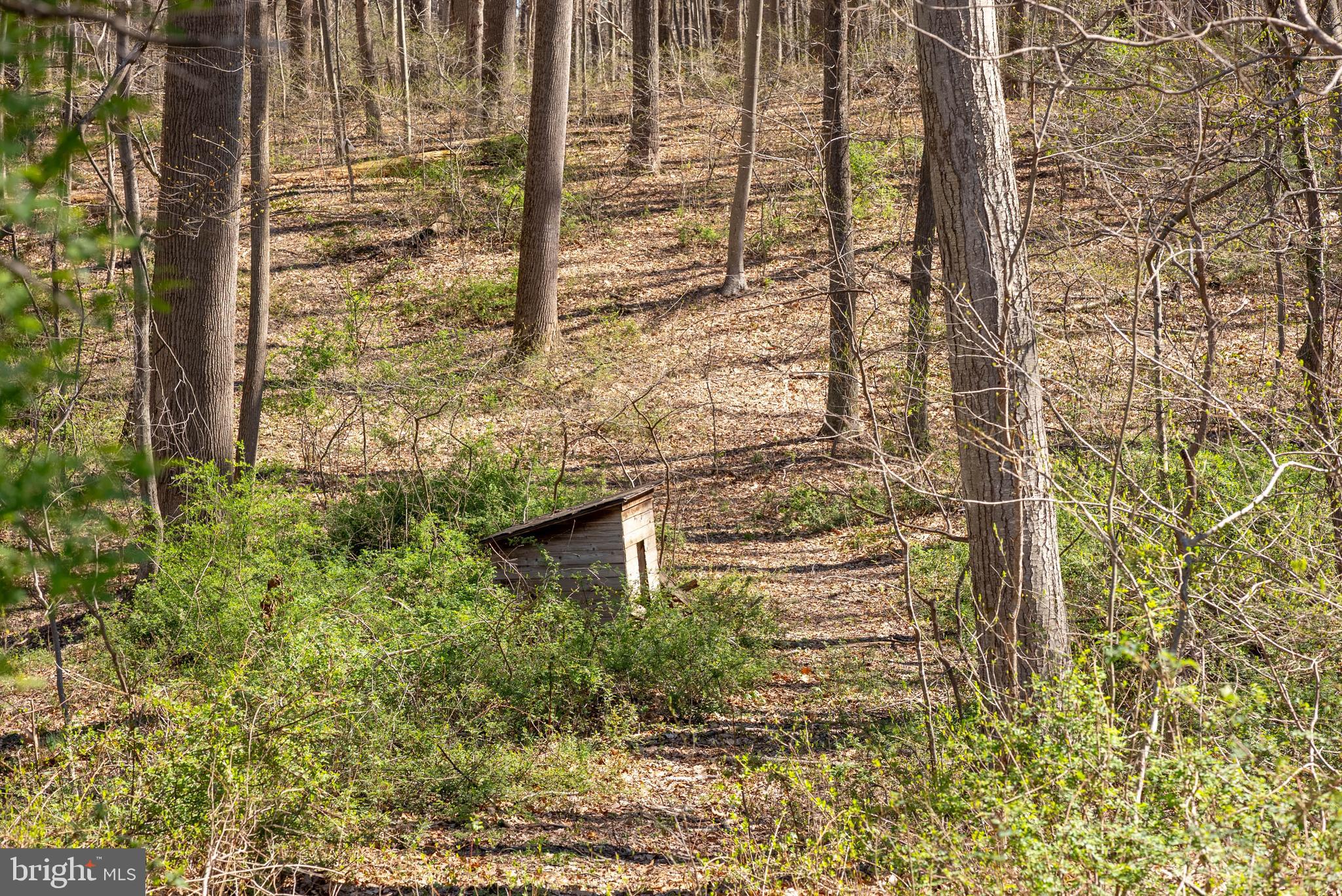 MY LADY'S MANOR - Land