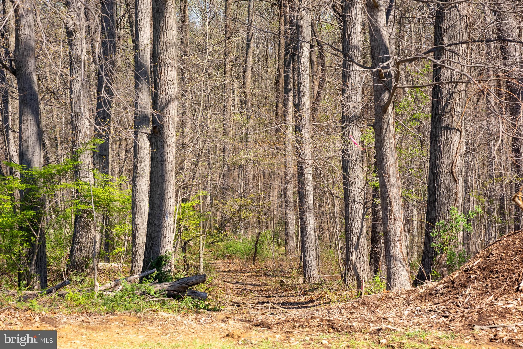 MY LADY'S MANOR - Land