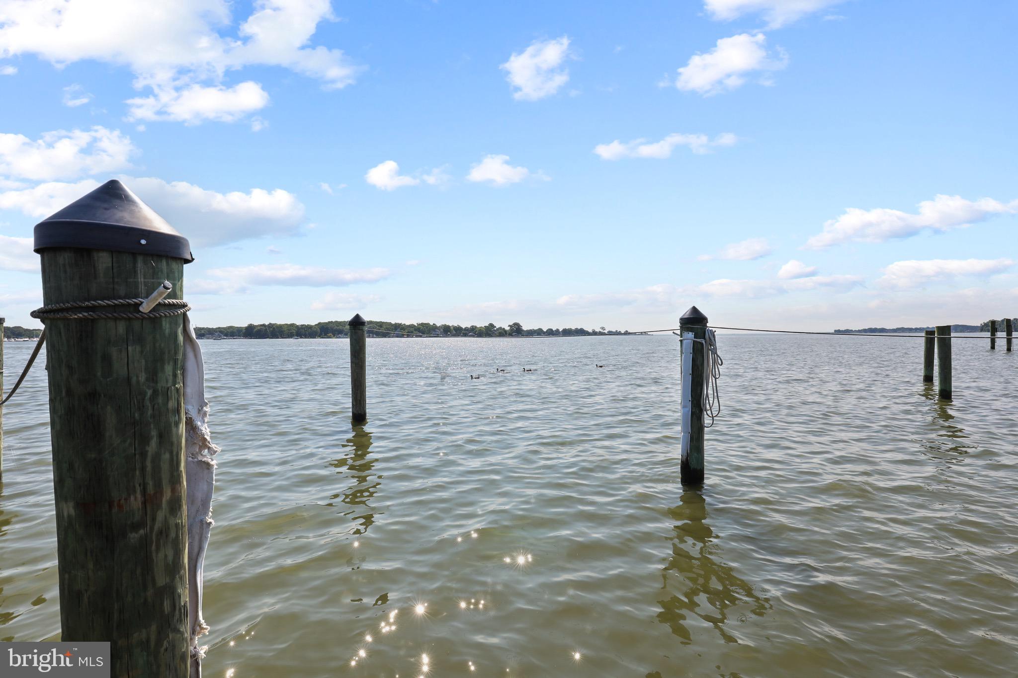 WILSON POINT - Residential