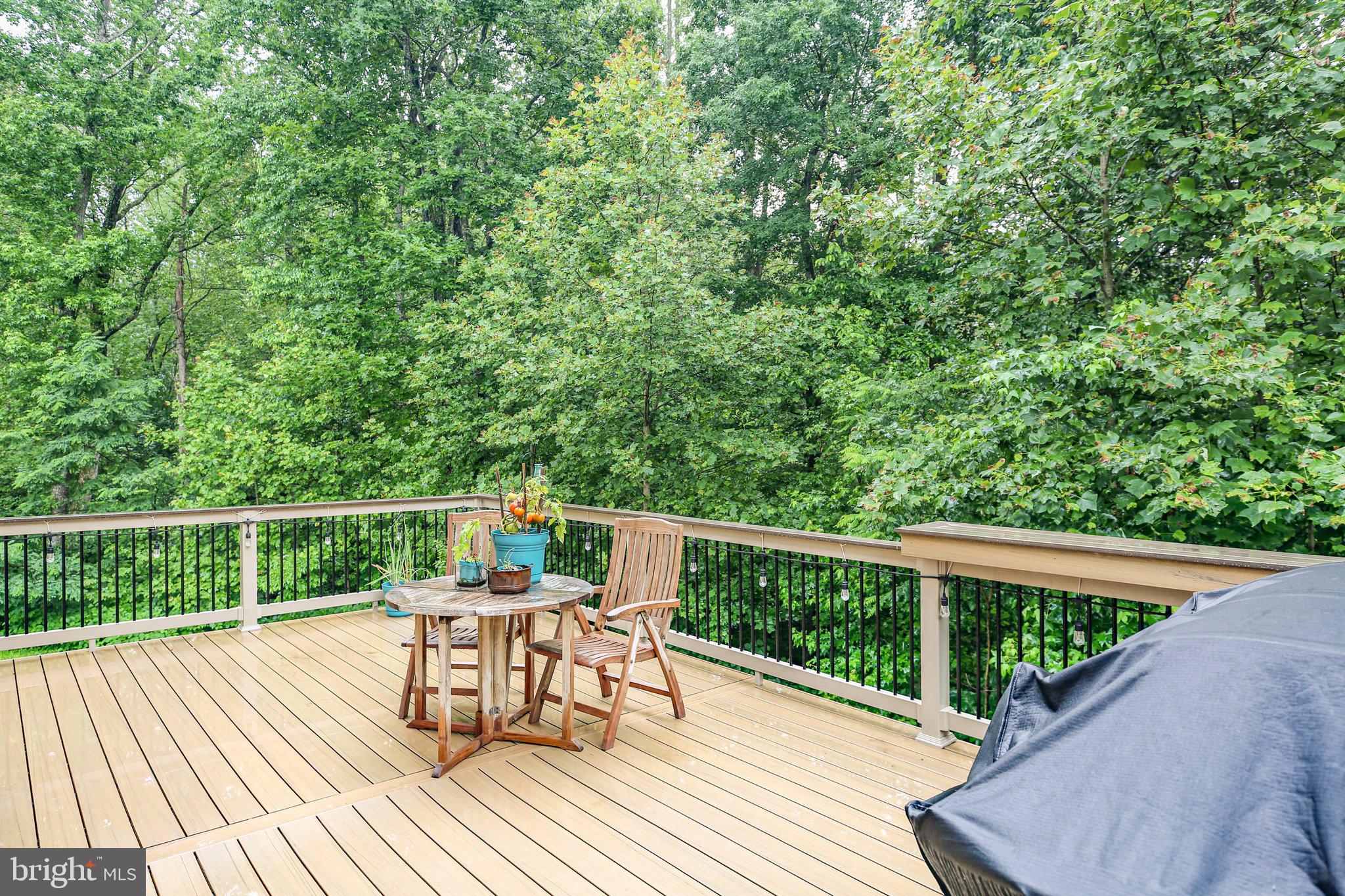 141 LIVINGWOOD COURT