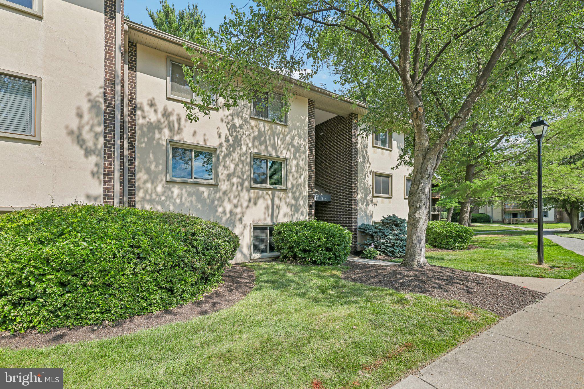 5041 GREEN MOUNTAIN CIRCLE 4
