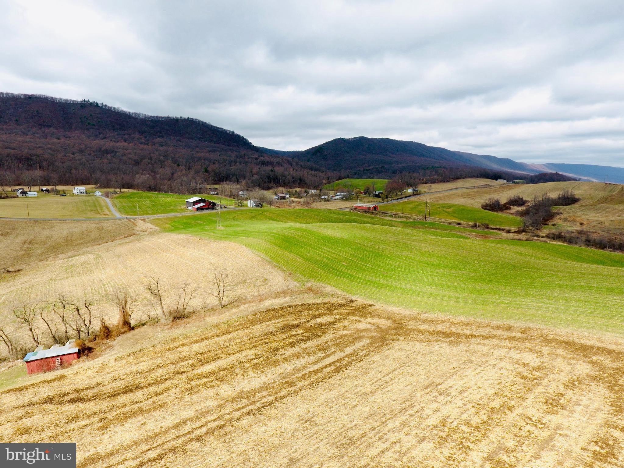 200 Blk CARBERRY ROAD