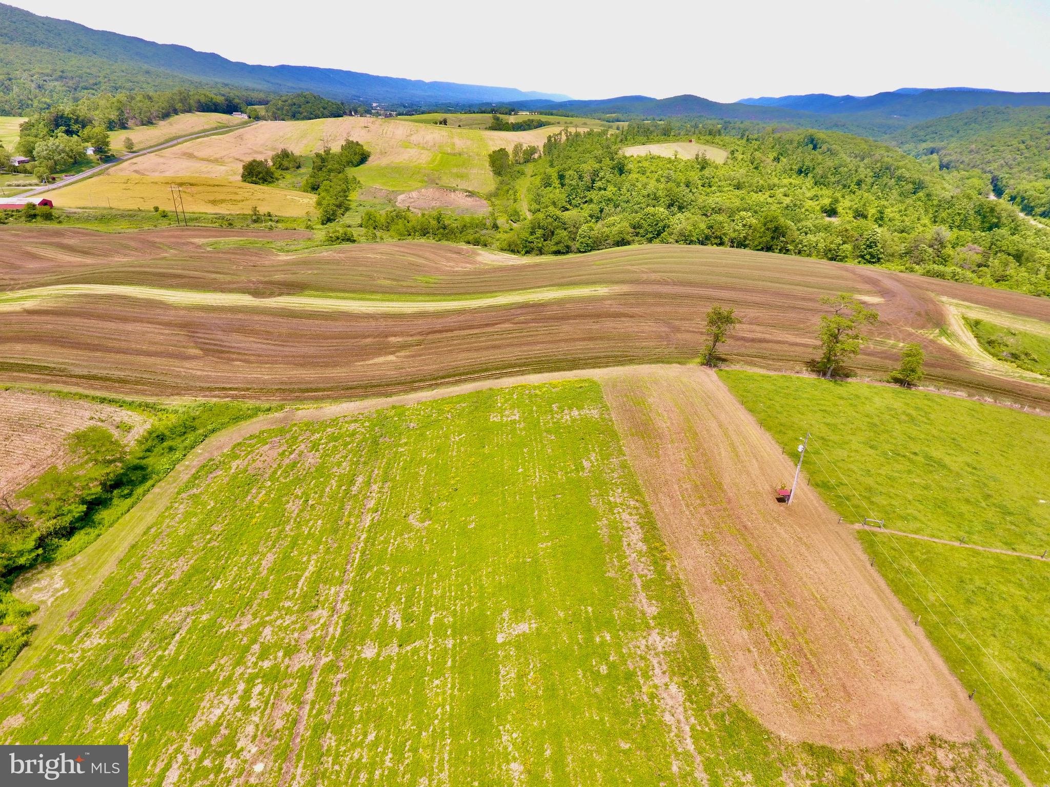 200 Blk CARBERRY ROAD