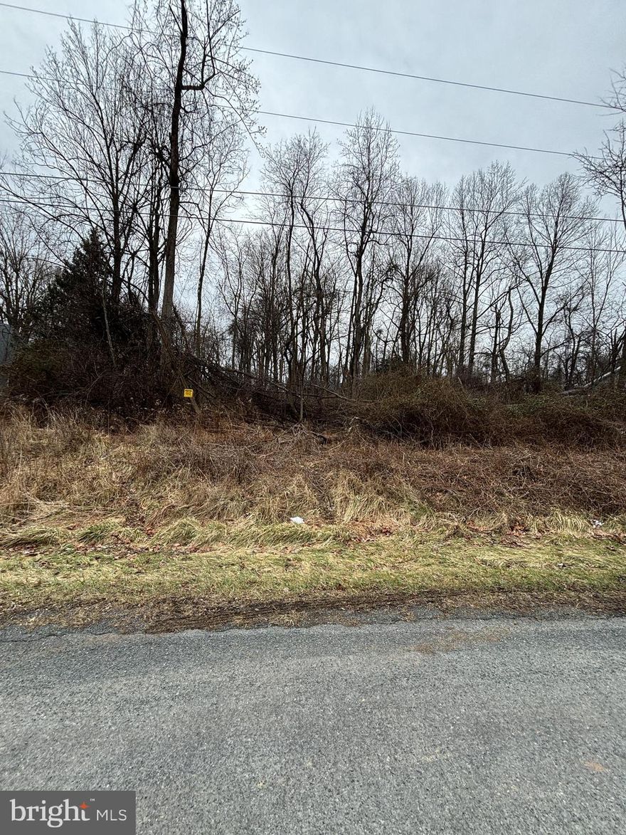 Looking to build your dream home? Offering vacant lot on a street with a Cul de sac, .52 acre. Carroll Valley has a lot to offer, public park, lakes, Liberty Mountain Ski and Golf Resort. Seller never did a perc test