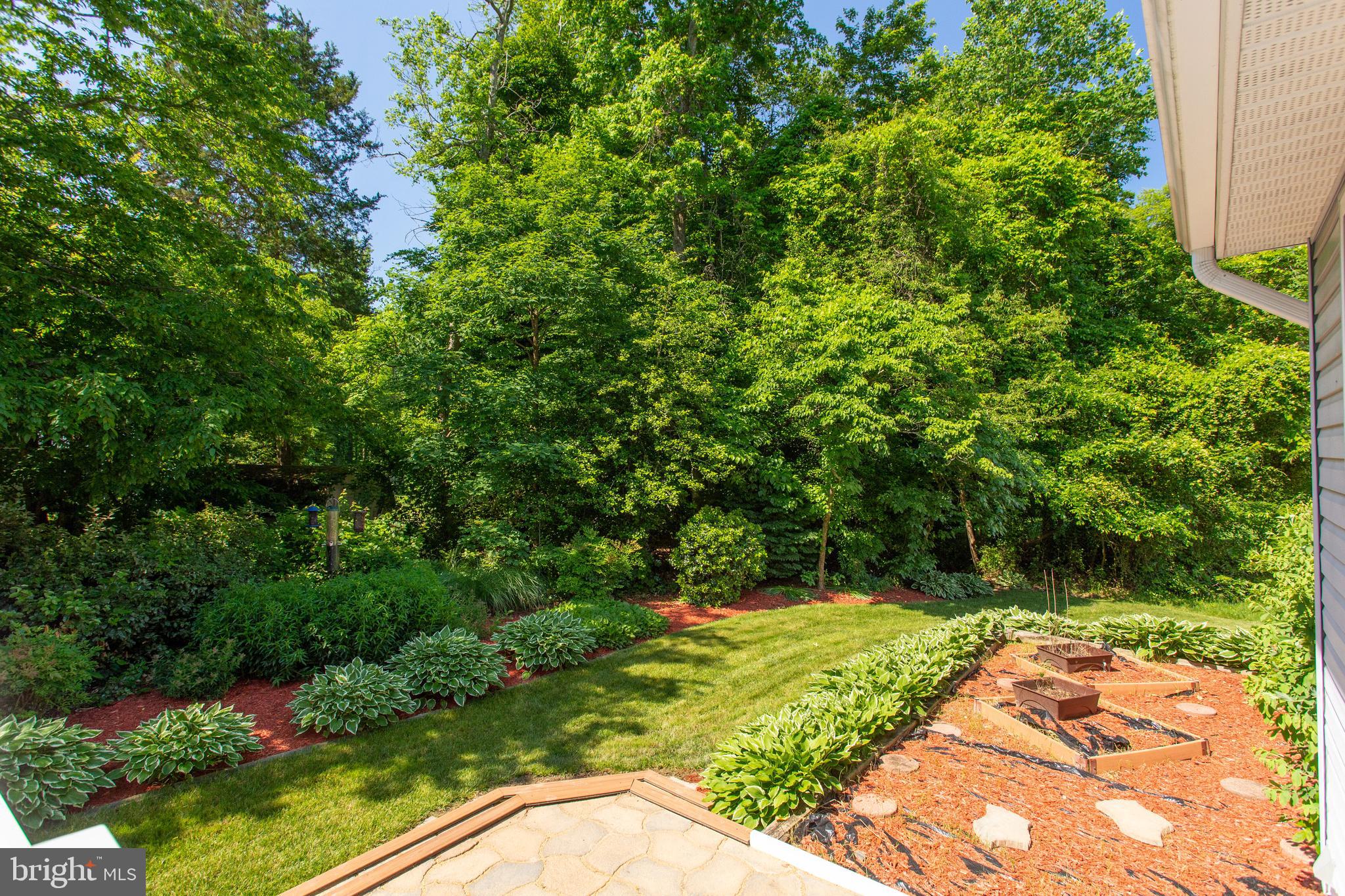 ASHFORD OAKS - Residential