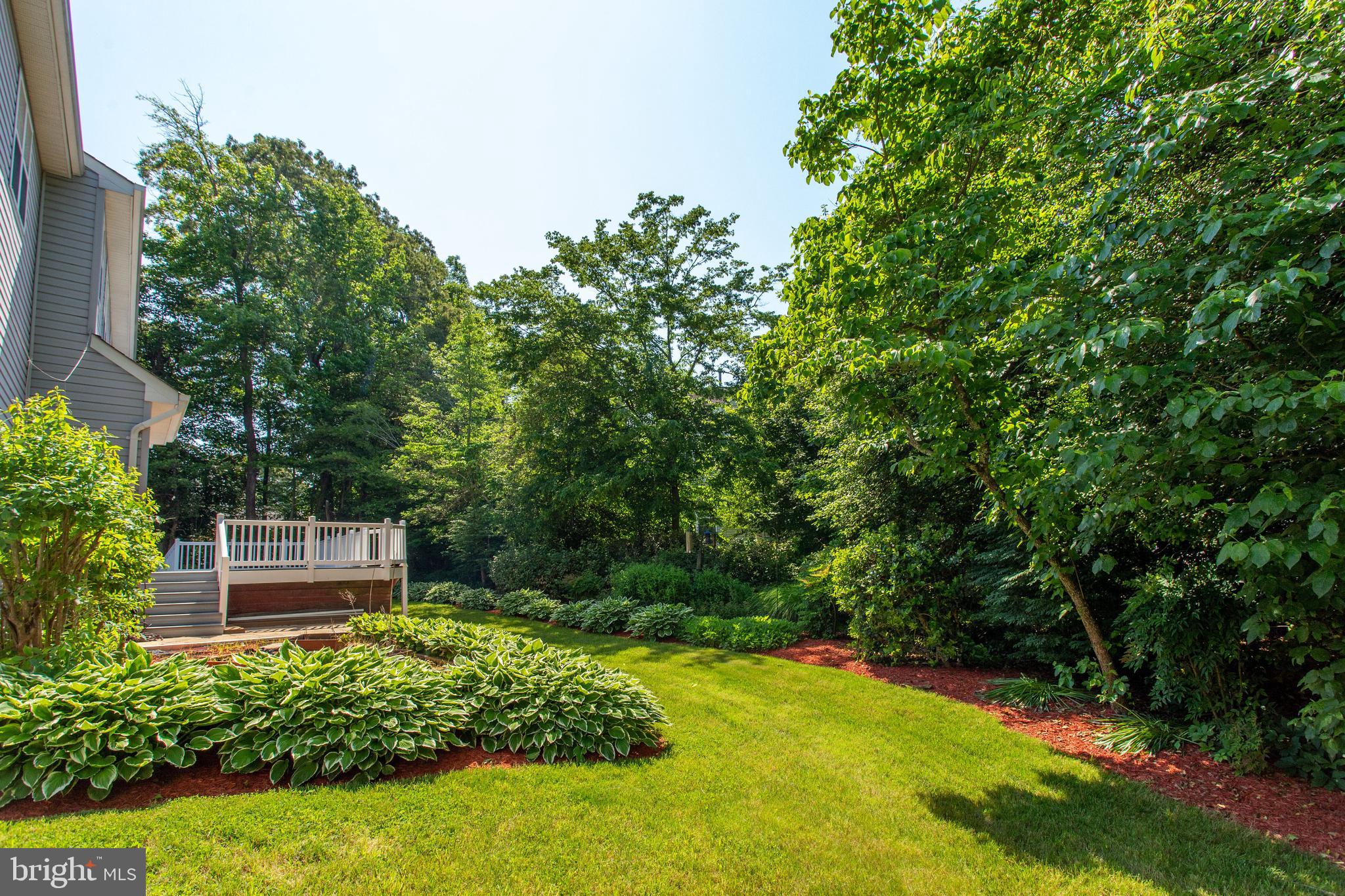 ASHFORD OAKS - Residential