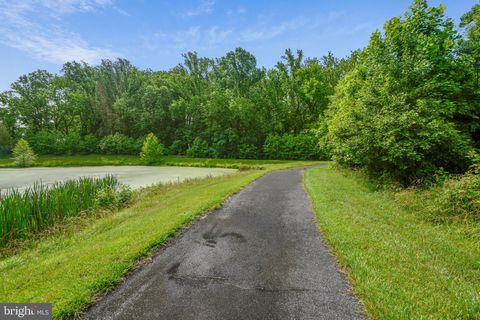 listing image 43