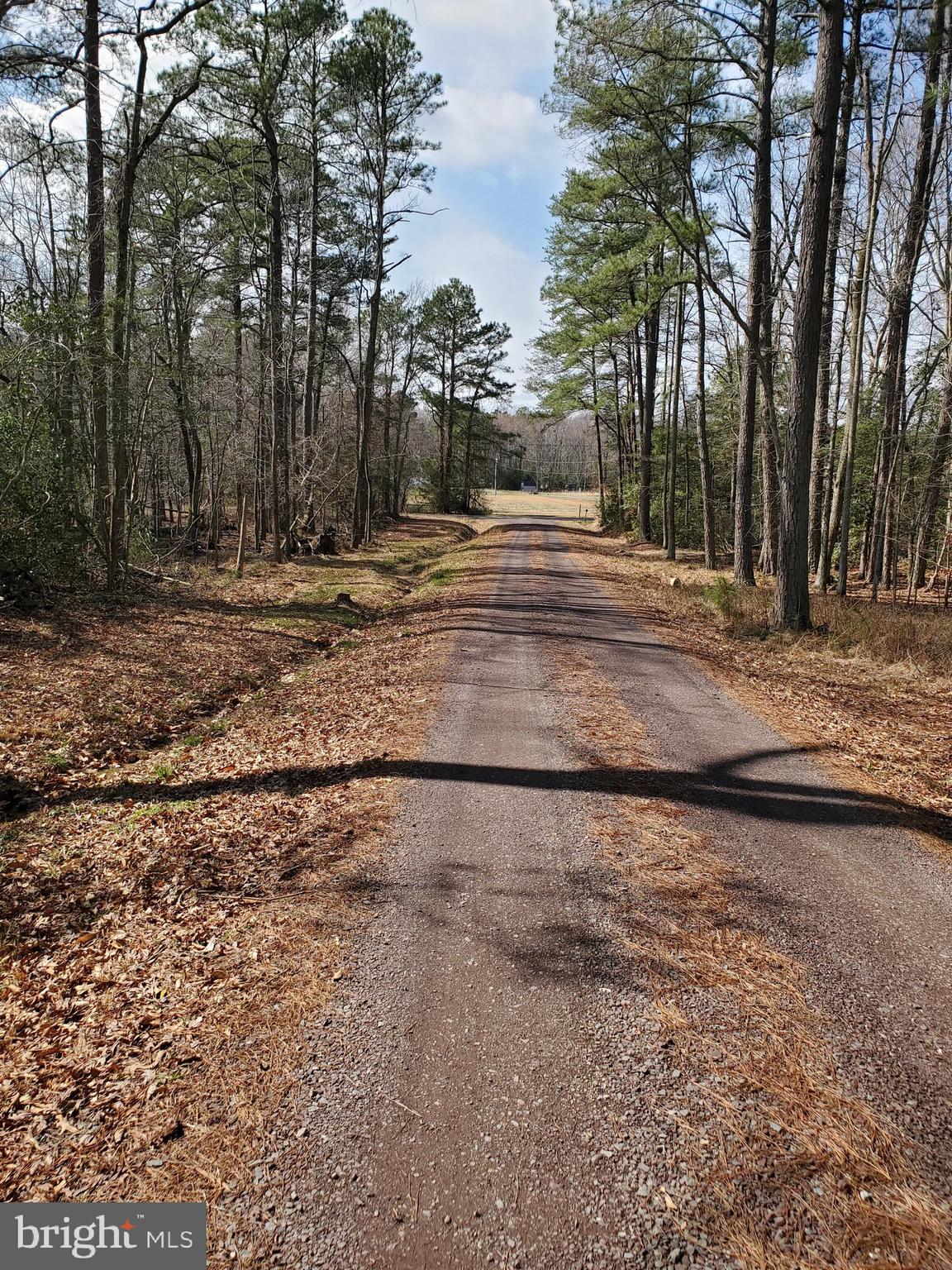 PLACID BAY ESTATES - Land