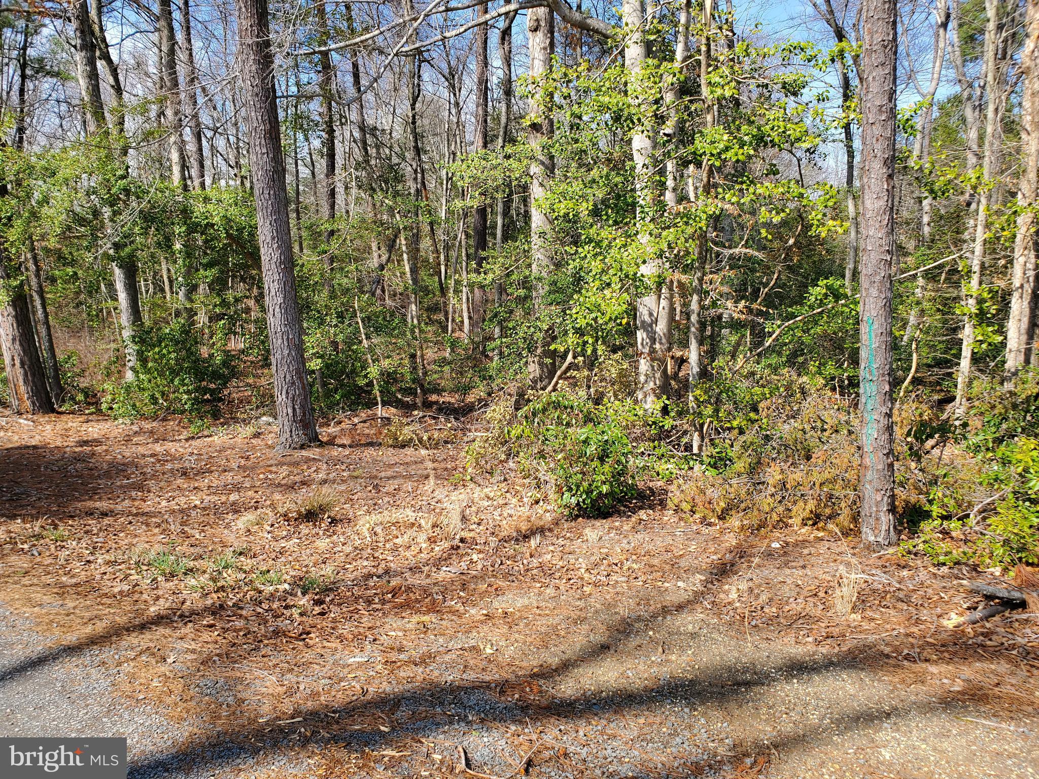 PLACID BAY ESTATES - Land