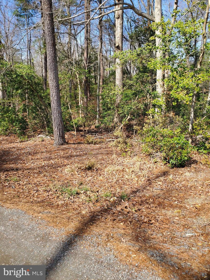 Placid Bay Estates building lot on newly cut-thru cul-de-sac.  Located in a waterfront community with access to the Potomac River via Mattox Creek.  Beautiful property in private location with access to voluntary HOA amenities including boat ramp, lake T-dock, community center, waterfront picnic pavilion.  Public sewer and water are available for a fee.  No tap fees have been paid.  Located just a few miles from the Town of Colonial Beach, 20 minutes to Dahlgren and 90 min to Washington DC or Richmond.