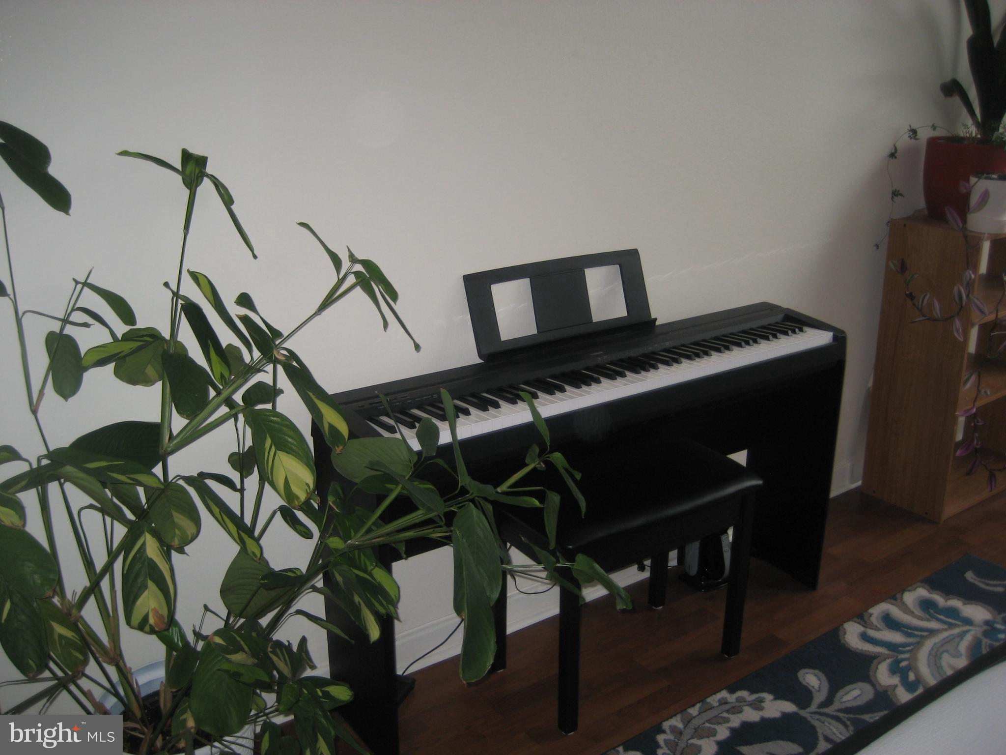 ART MUSEUM AREA - Residential Lease