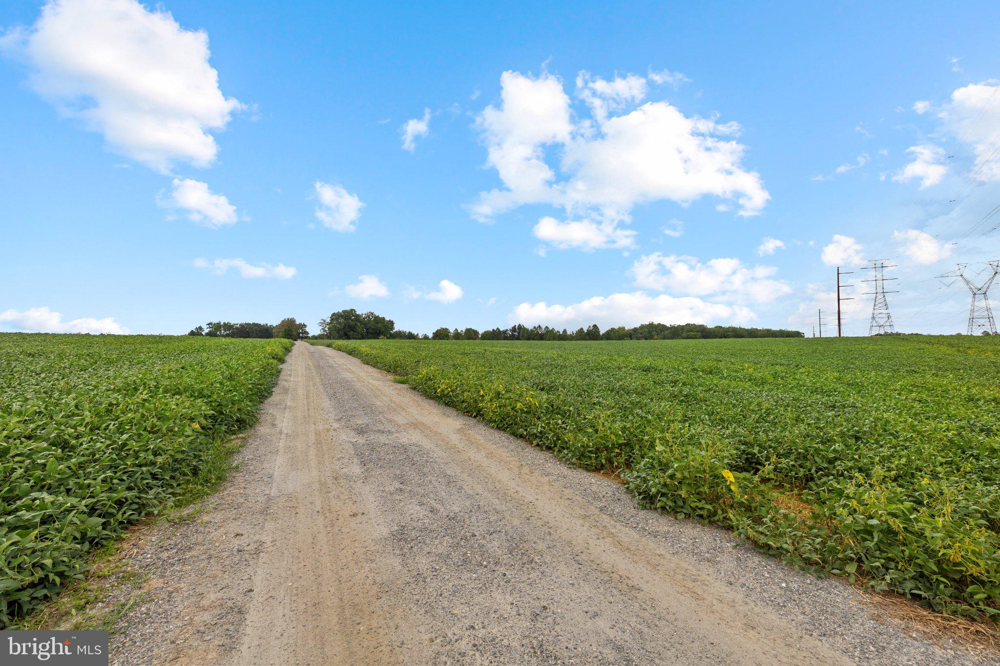 STONEWALL JACKSON ROAD