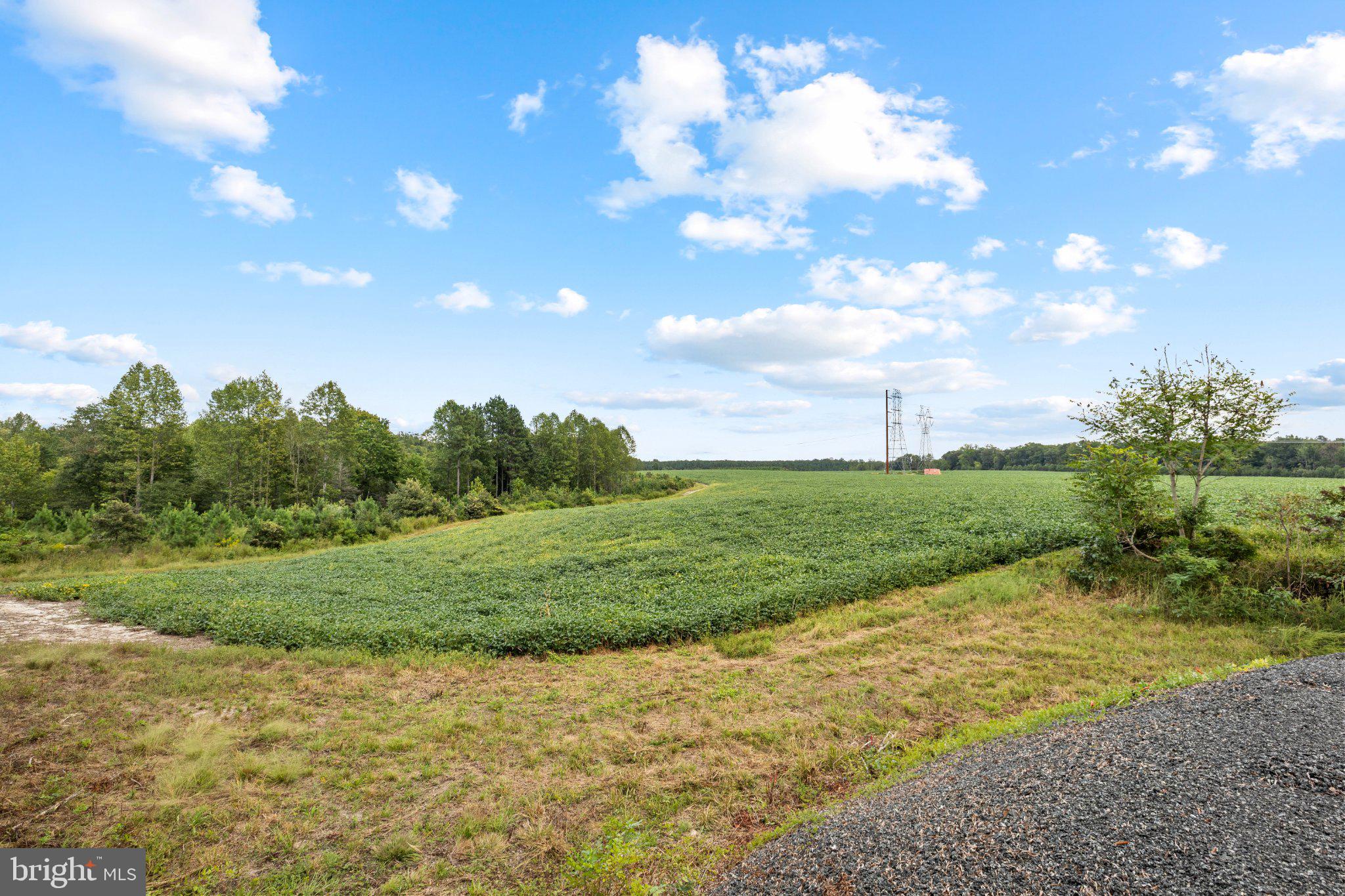 STONEWALL JACKSON ROAD
