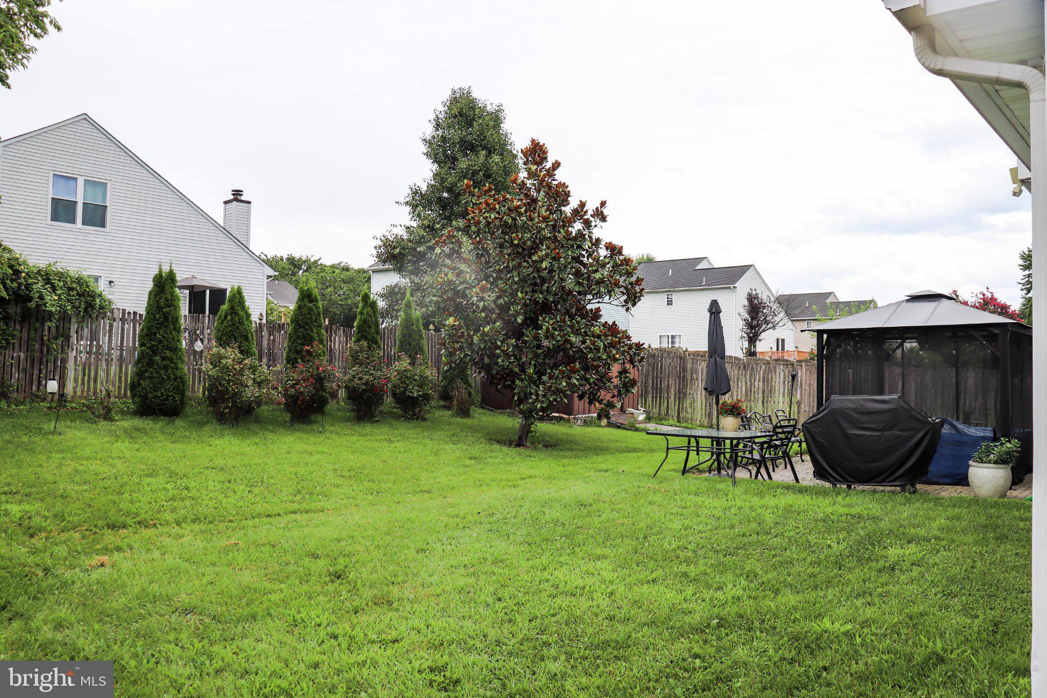 231 ROMEO DRIVE