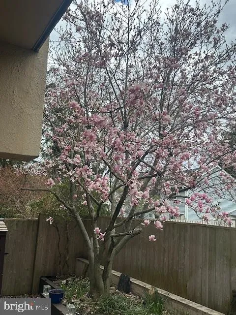 Princeton, New Jersey 08540, United States, 2 Bedrooms Bedrooms, ,2 BathroomsBathrooms,Residential,Coming Soon,220534