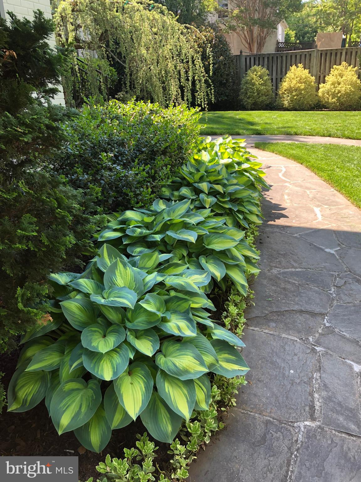 SPRINGFIELD - Residential