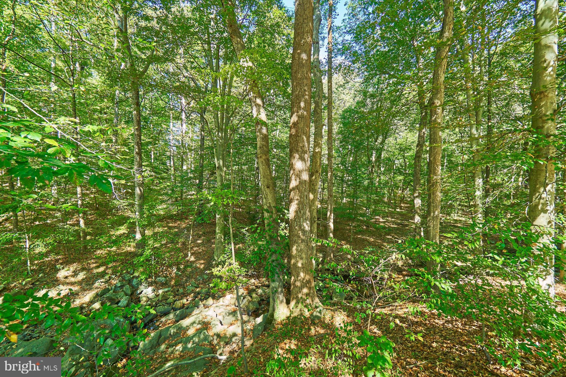 KEENE MILL MANOR - Residential